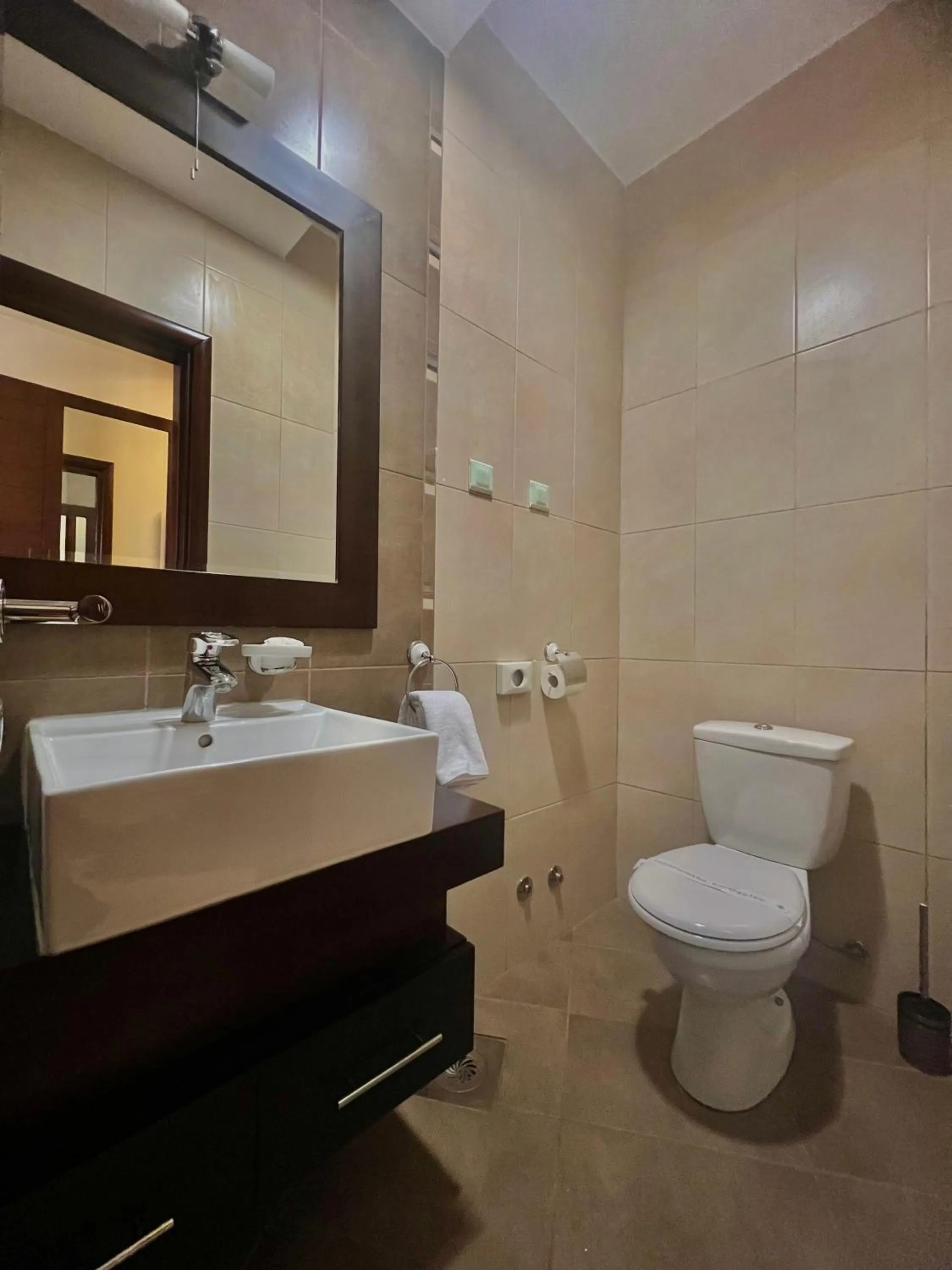 Toilet in Hotel Aria