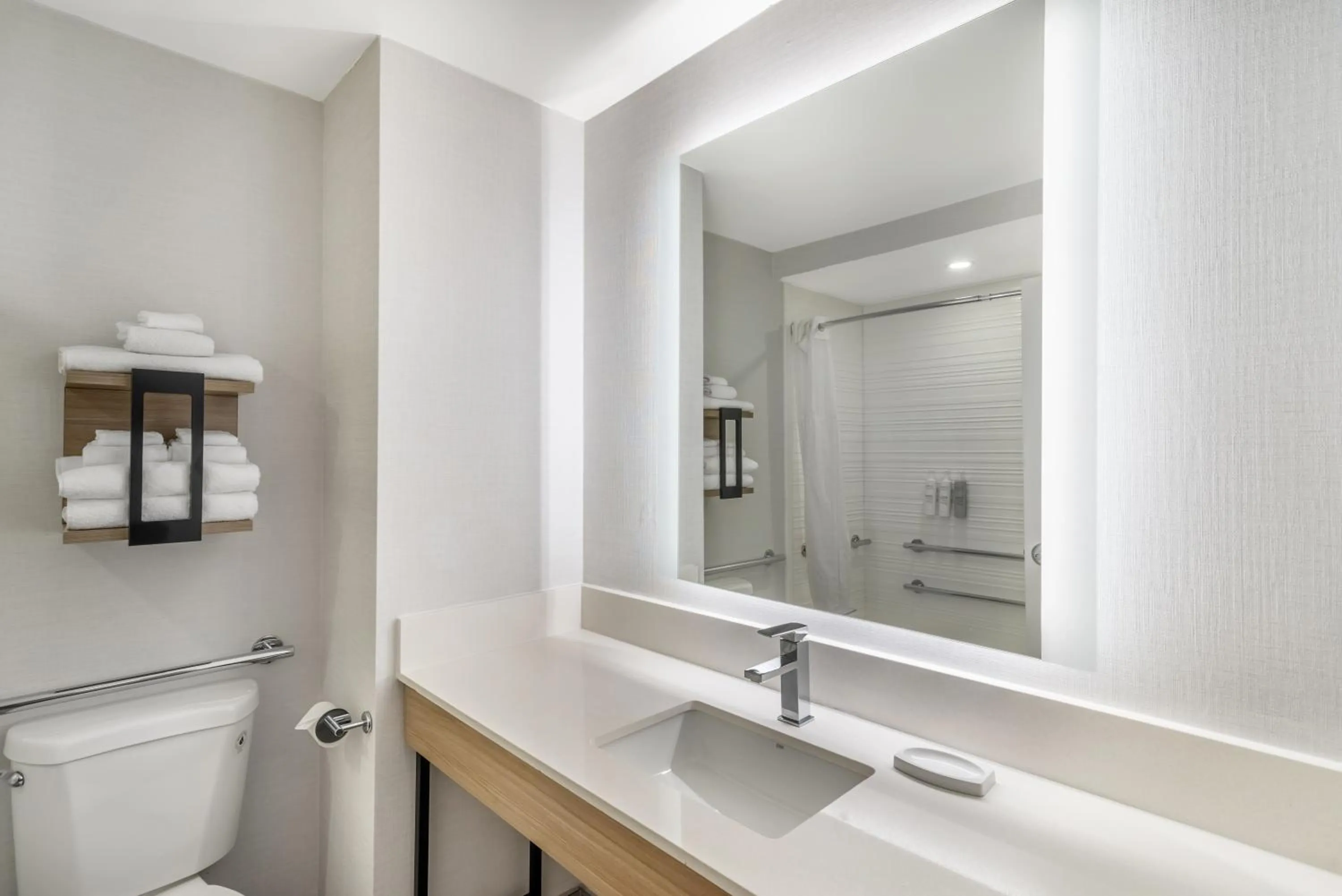 Bathroom in Hampton Inn Atlanta-Stockbridge