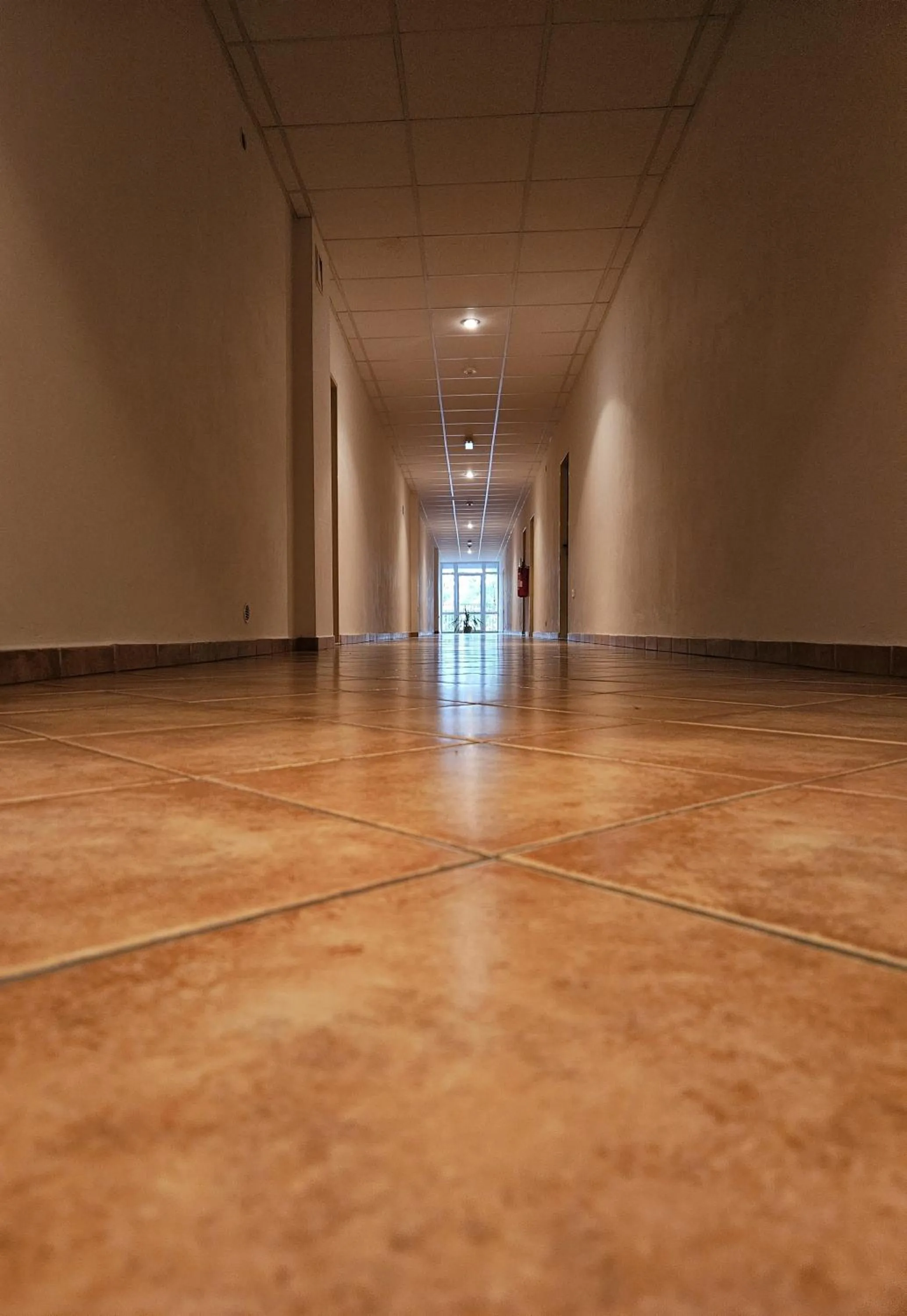 Property building in Hotel Trim