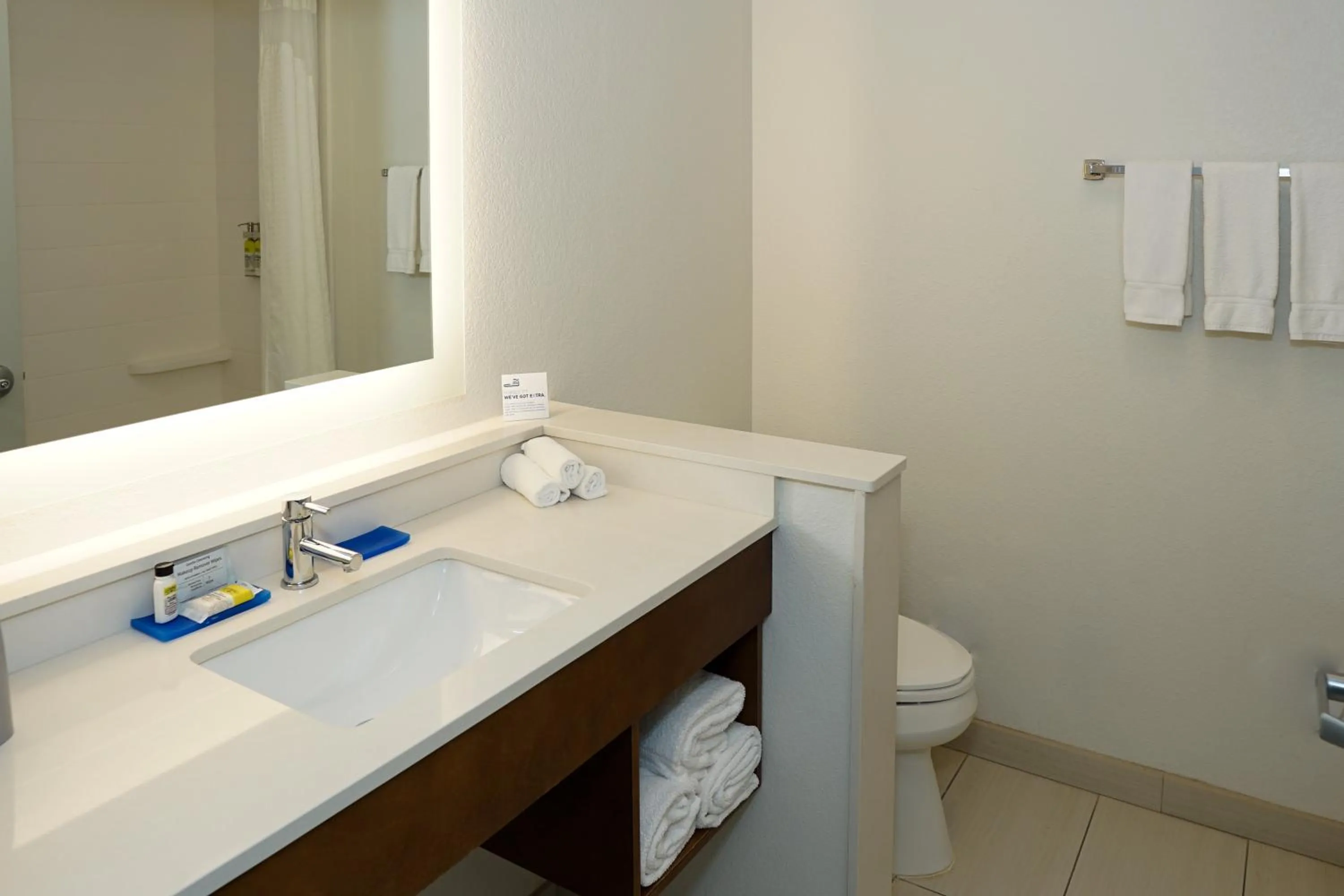 Bathroom in Holiday Inn Express & Suites - Aurora Medical Campus by IHG