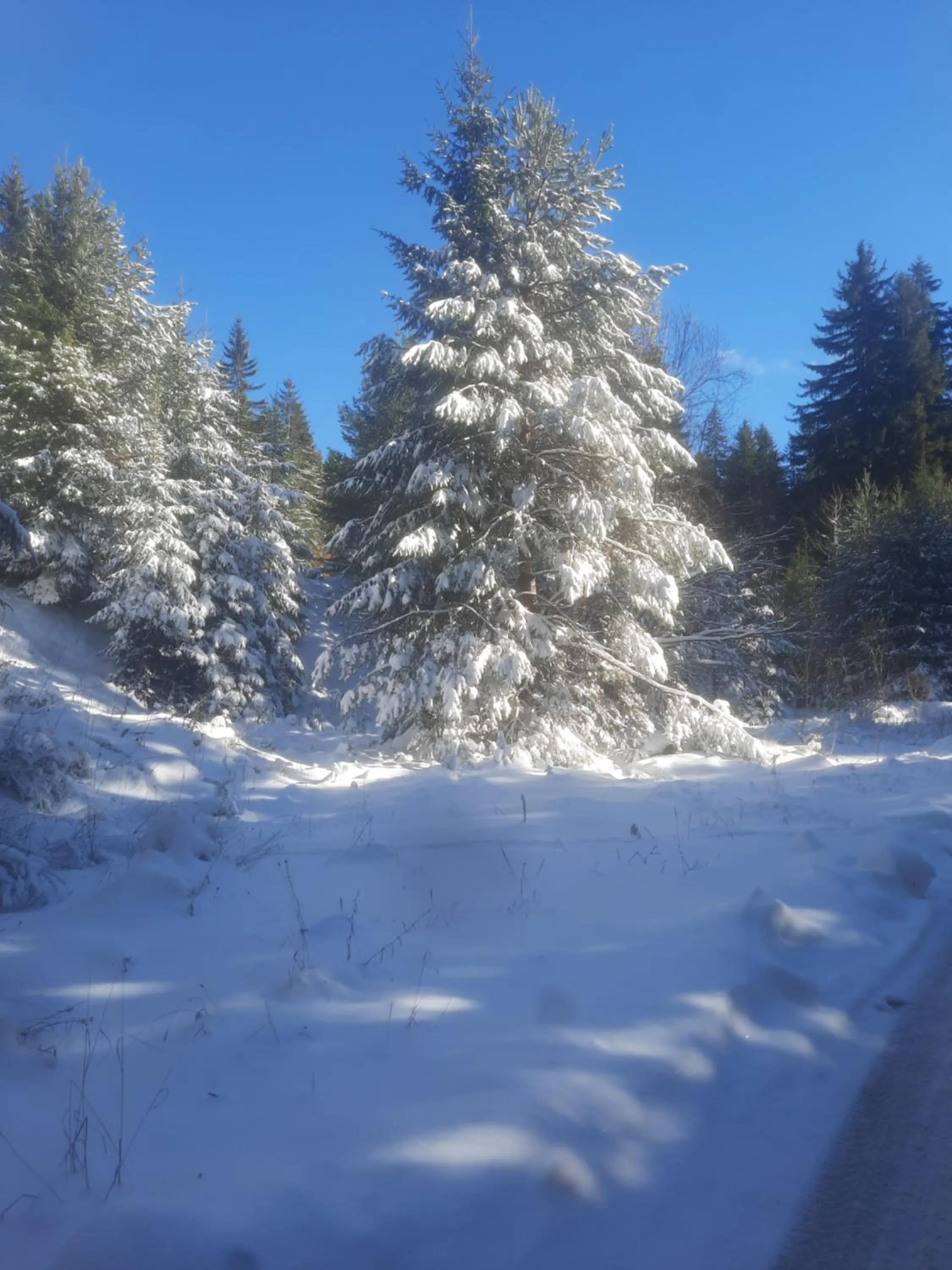 Семеен хотел Кристал