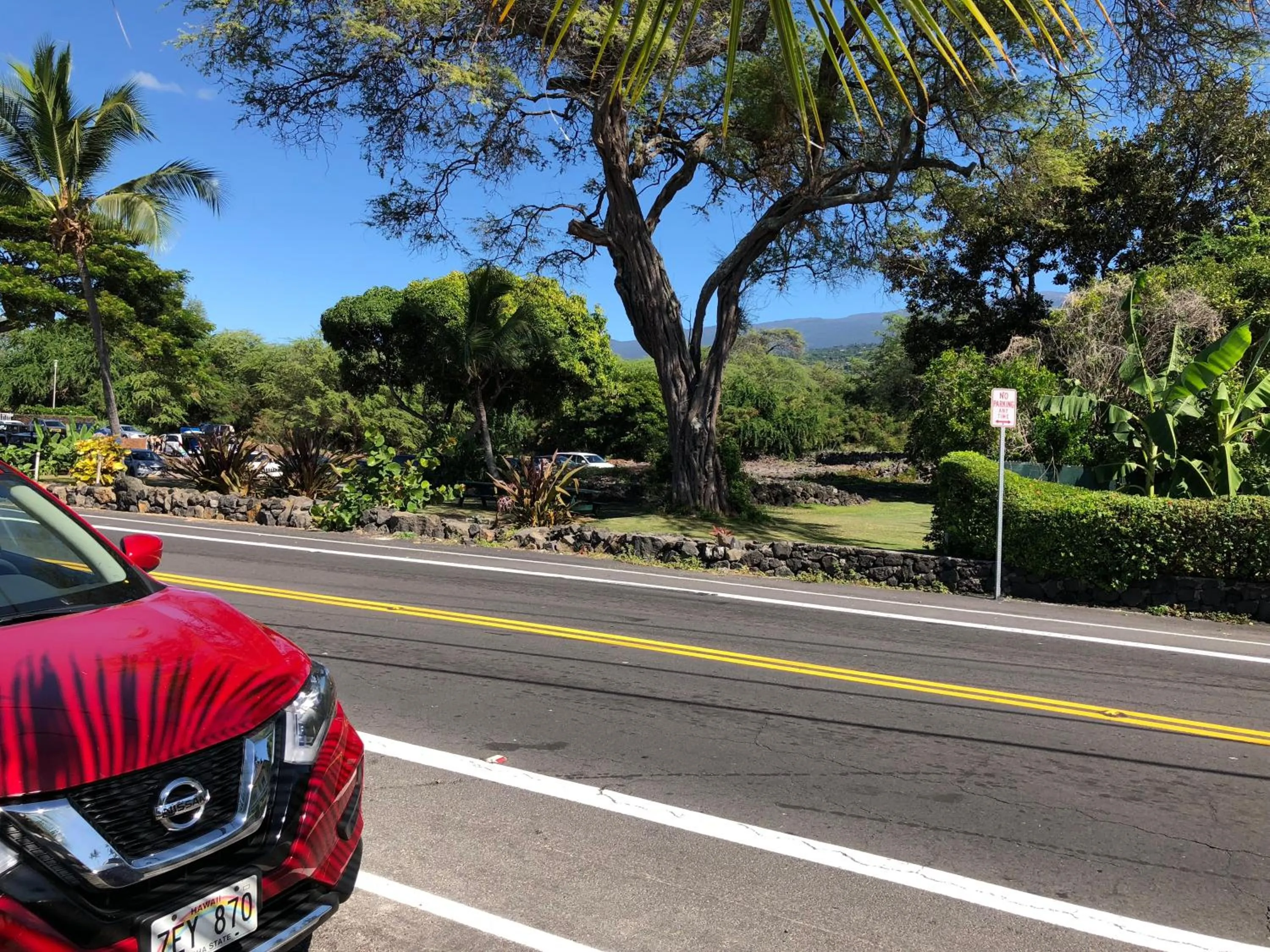 Area and facilities in Kona Magic Honu Room