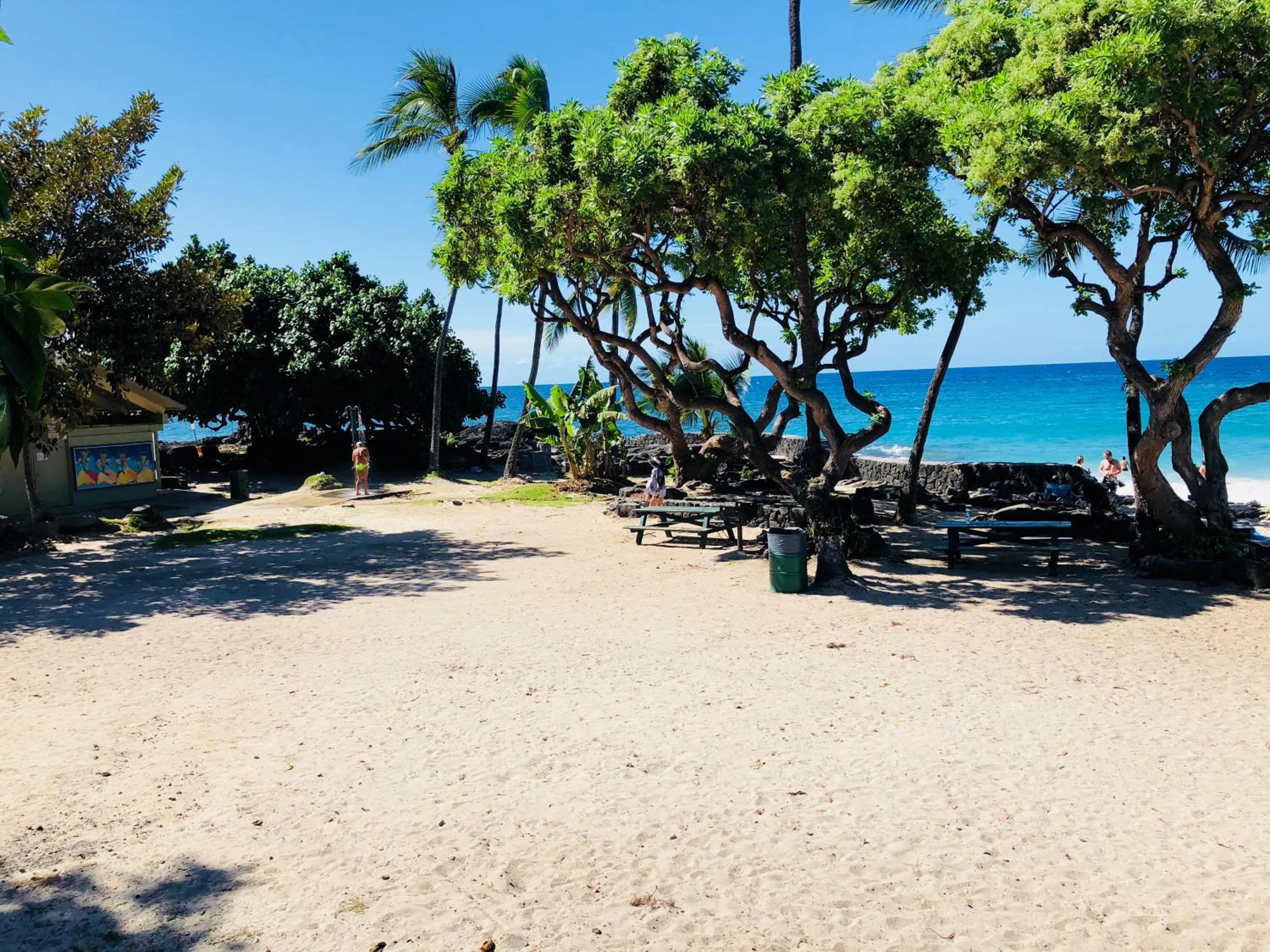 Beach in Kona Magic Honu Room