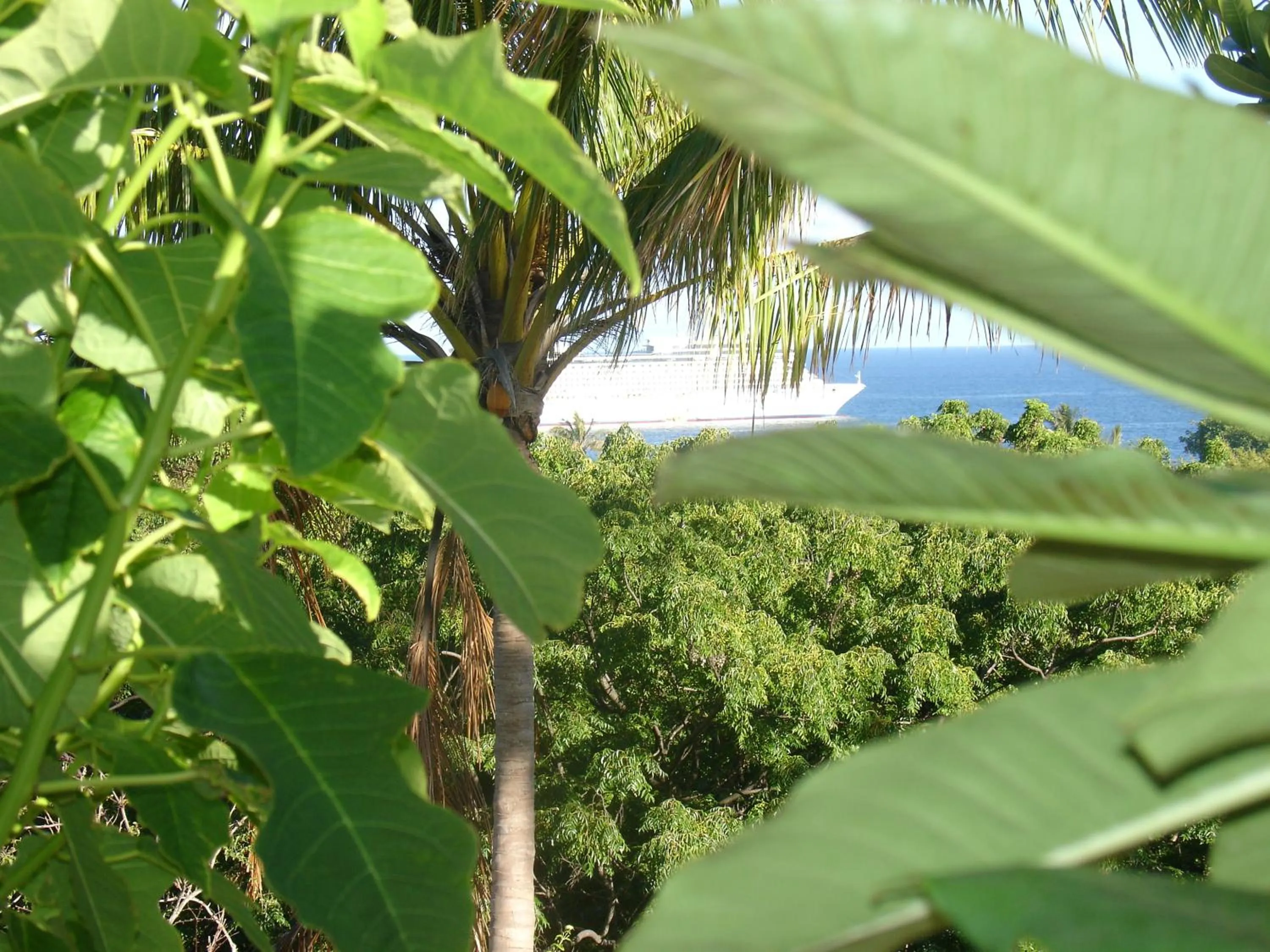 Sea view in Hotel Victoria