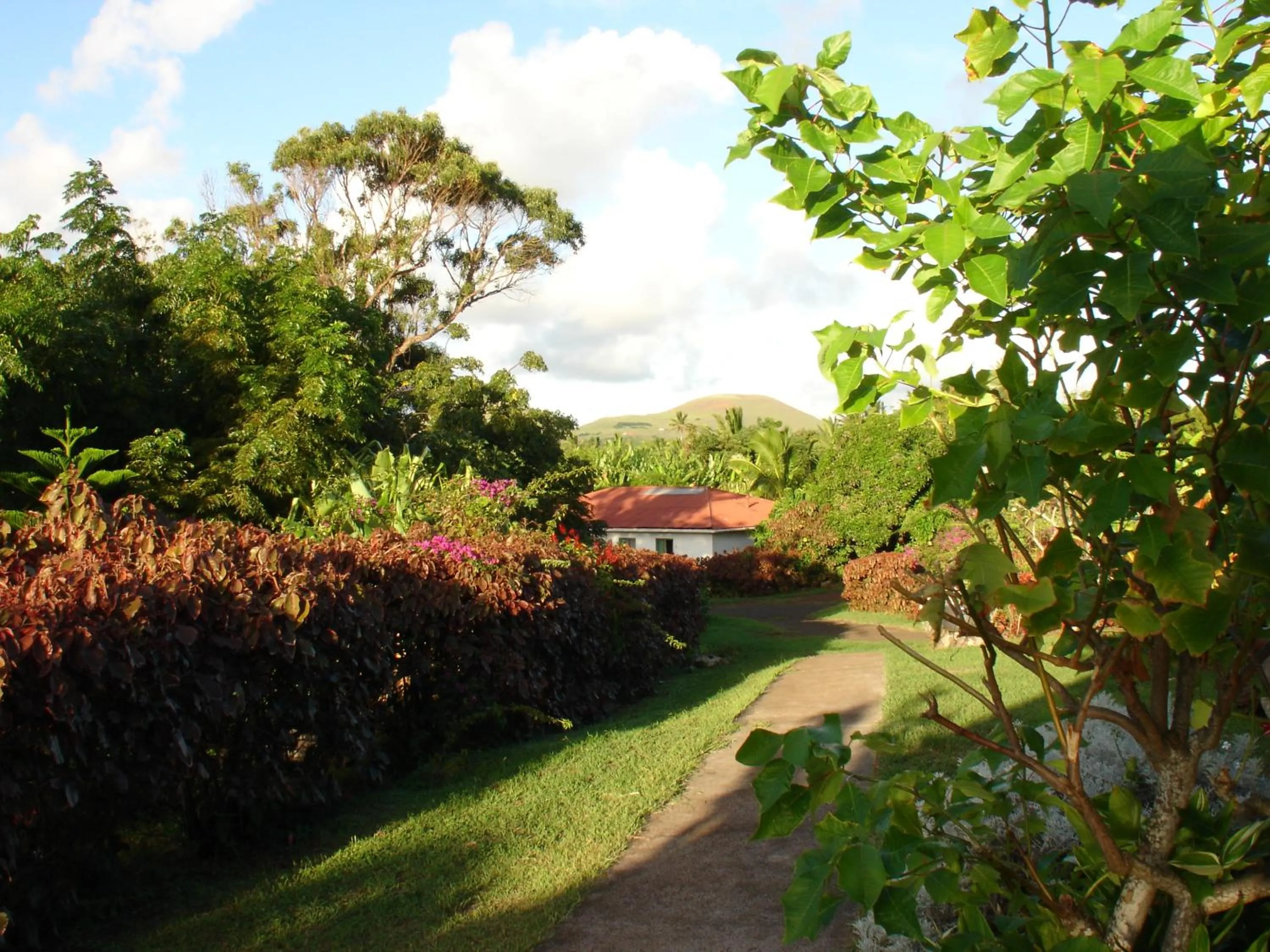 Facade/entrance in Hotel Victoria