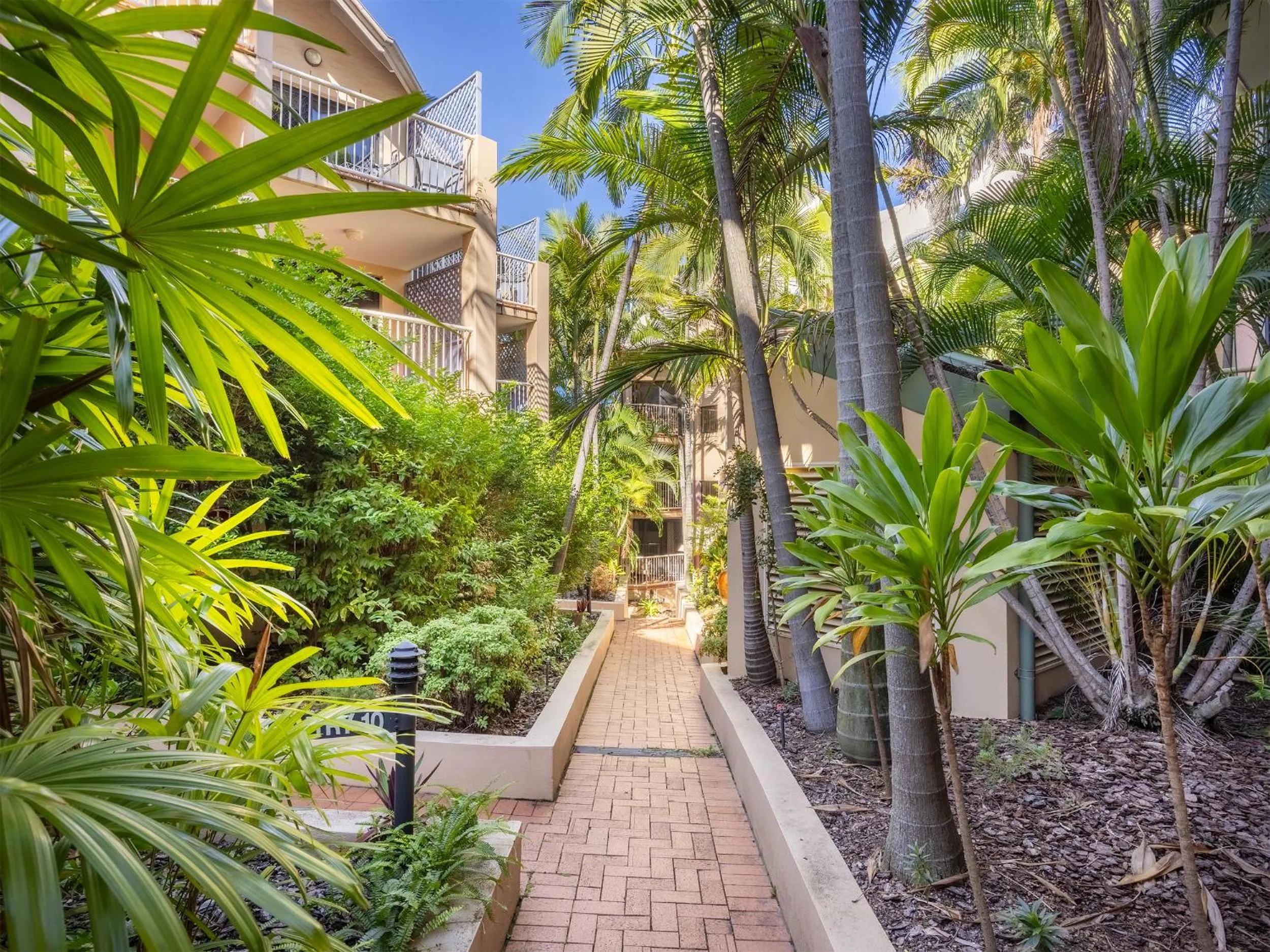 Garden in Spring Hill Gardens Apartments