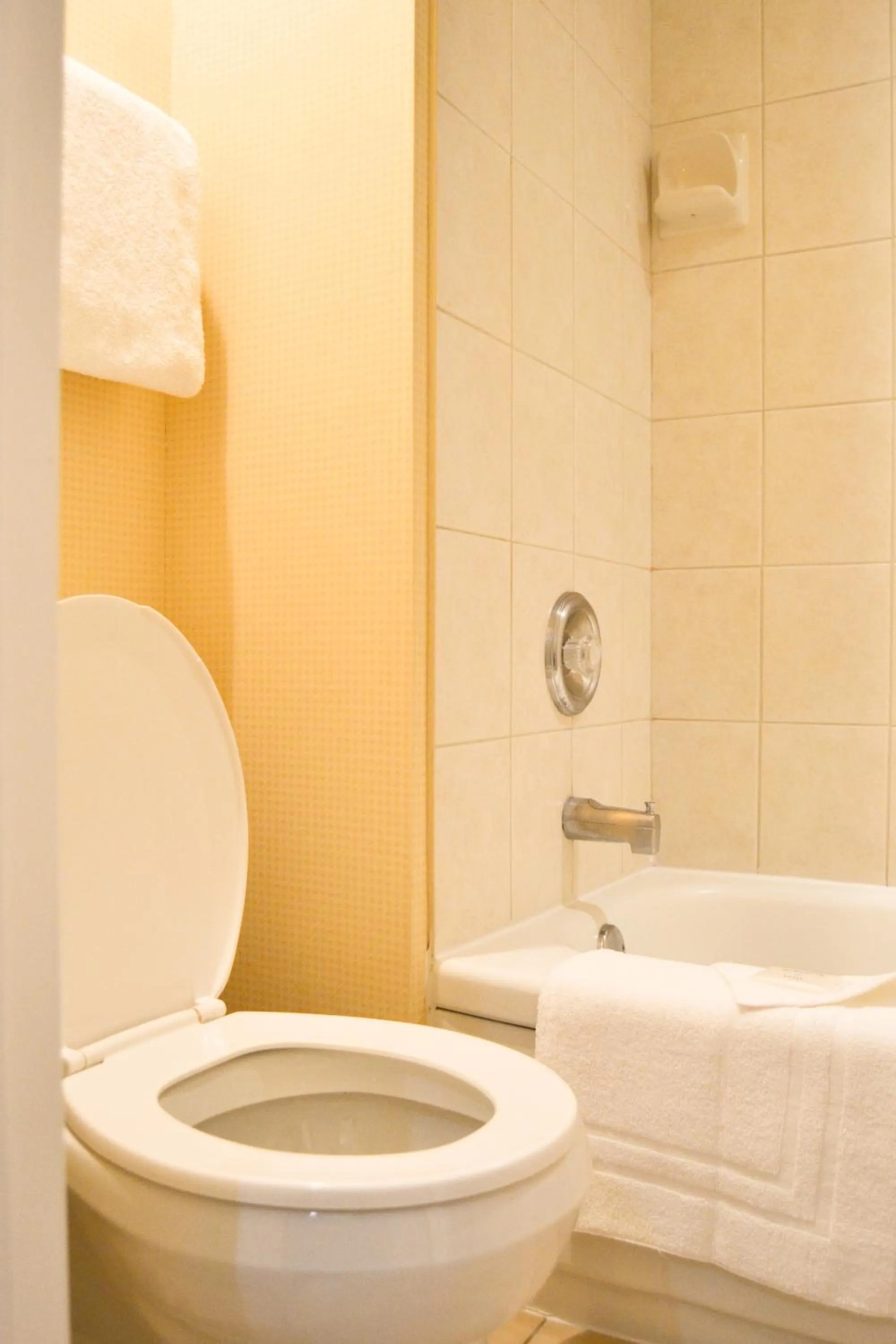 Toilet in Amenida Residences, Calgary