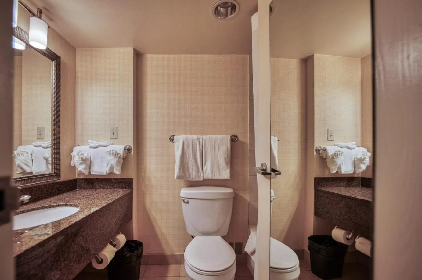 Toilet in Amenida Residences, Calgary