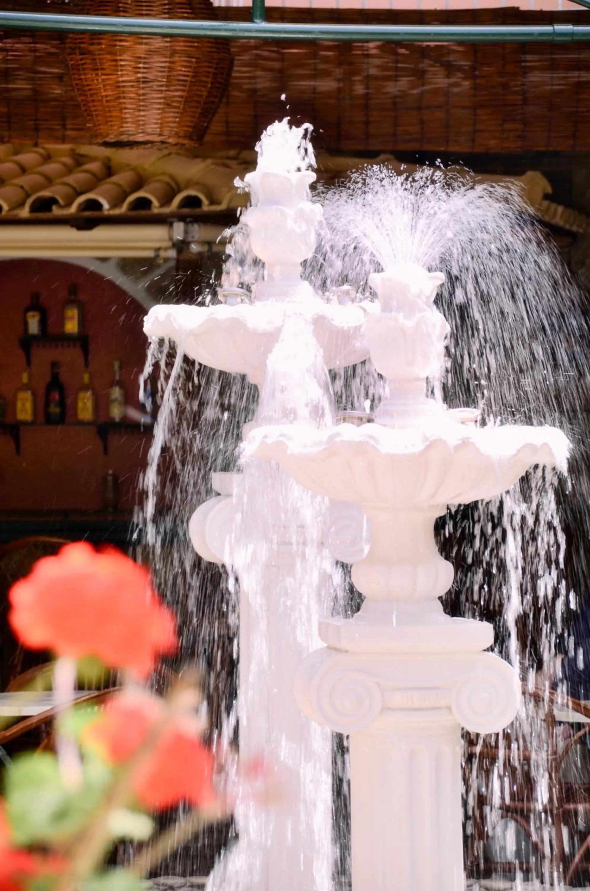 Lounge or bar in Sirena Beach