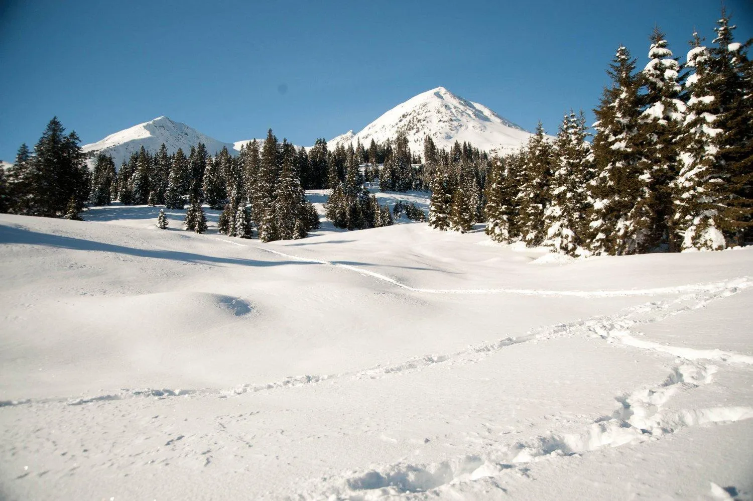 Natural landscape in Hotel Rosa Resort