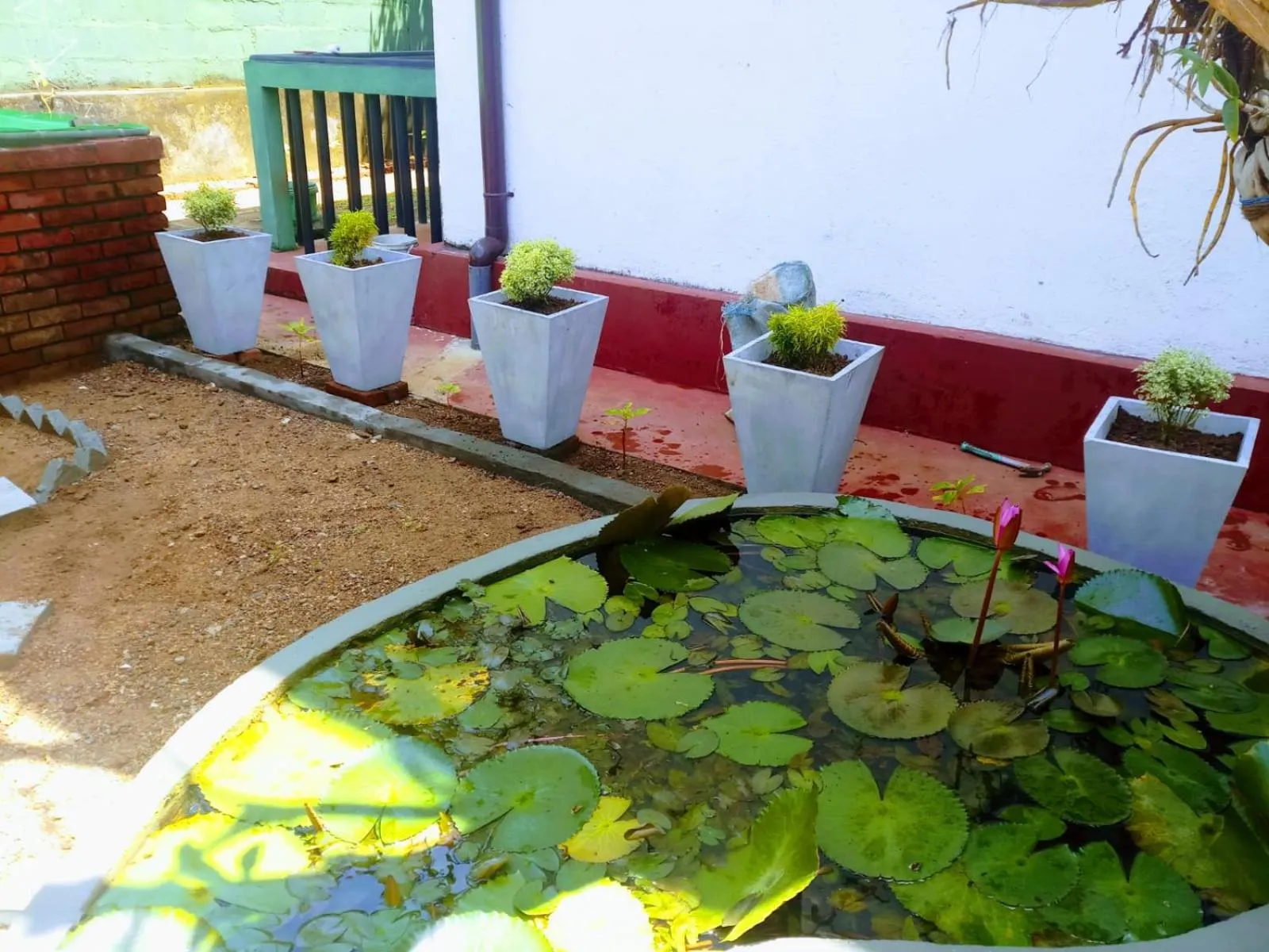 Garden in Guesthouse Panorama