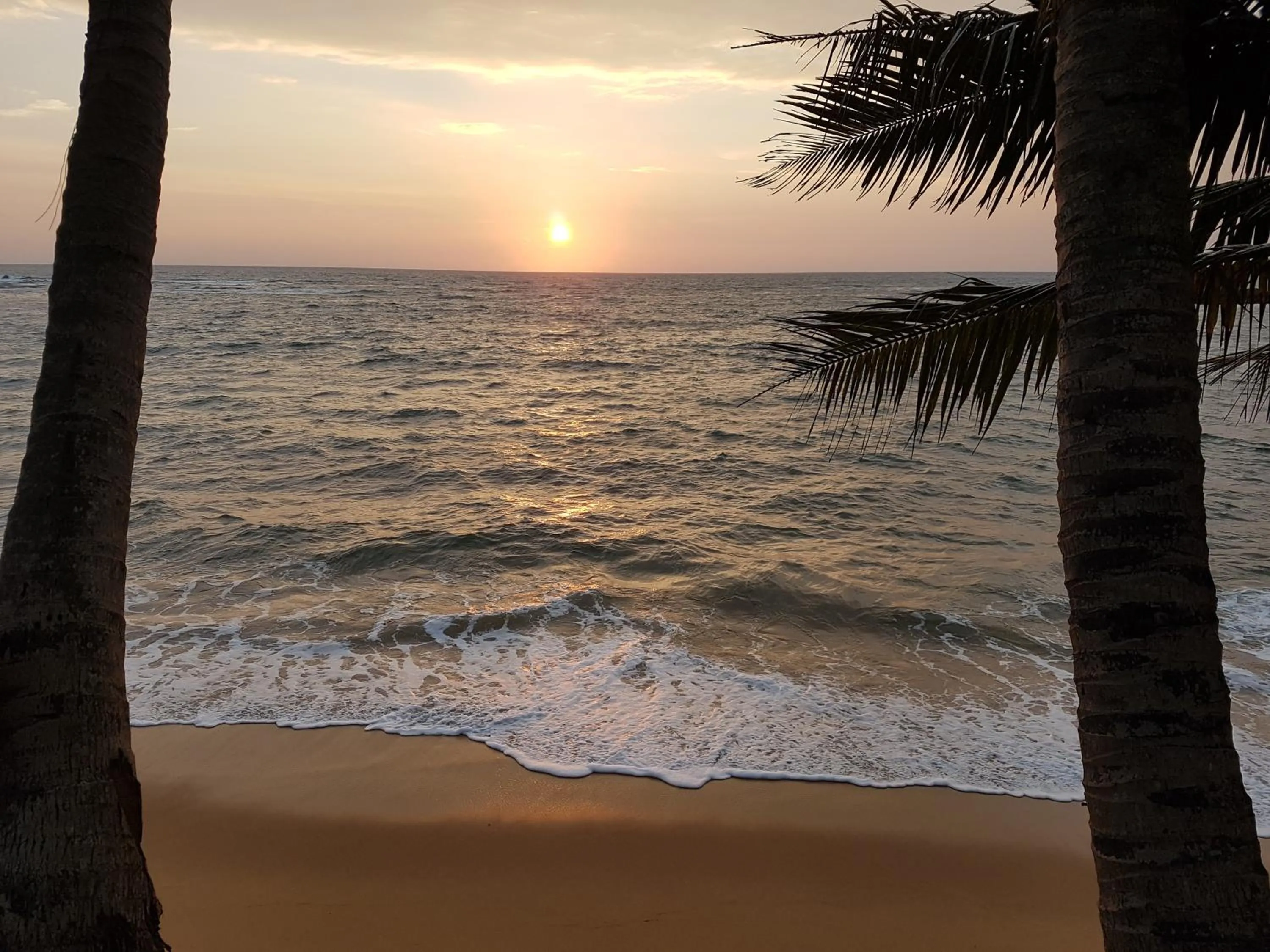 Natural landscape in Guesthouse Panorama