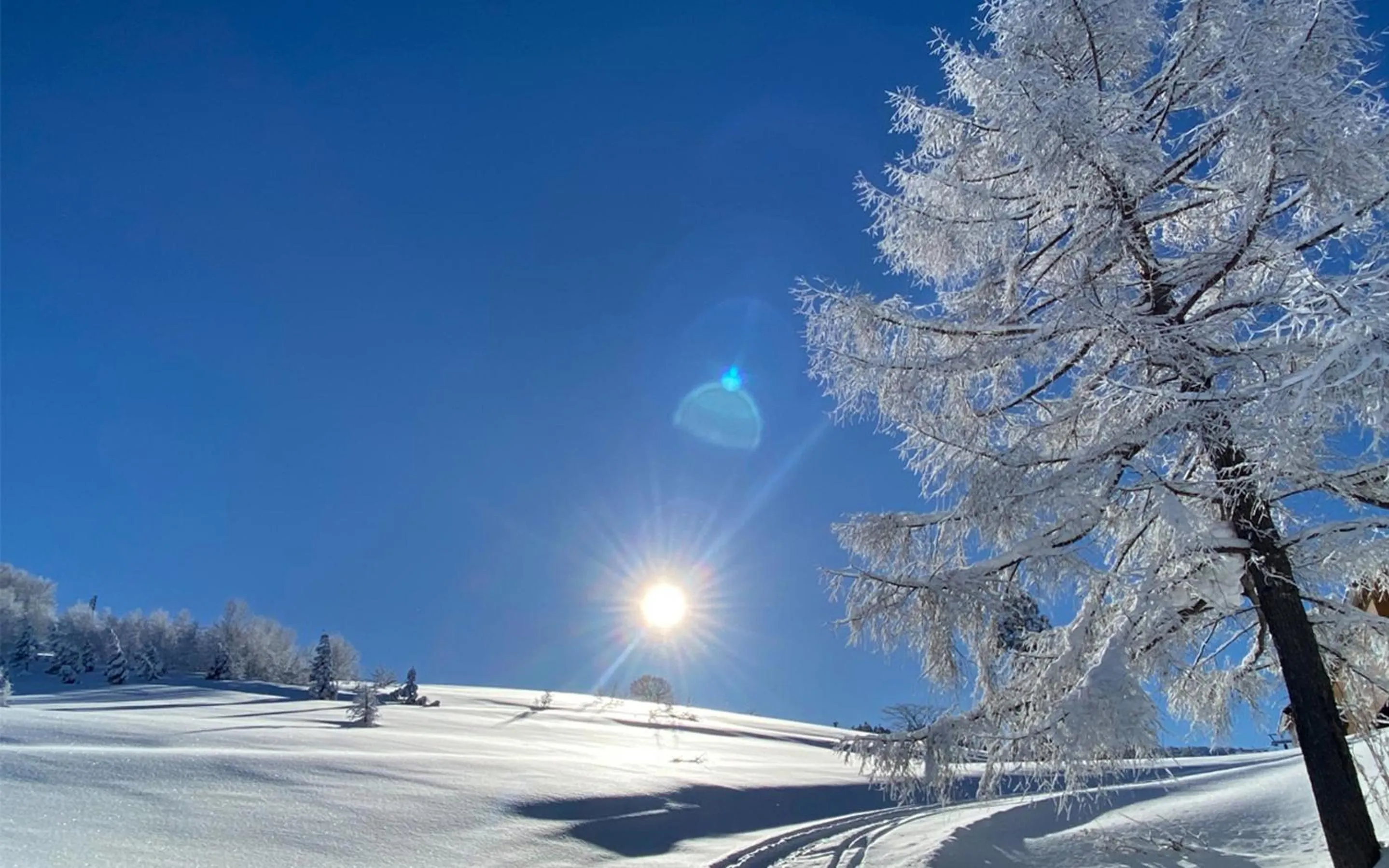 Day in Residence Yasushi