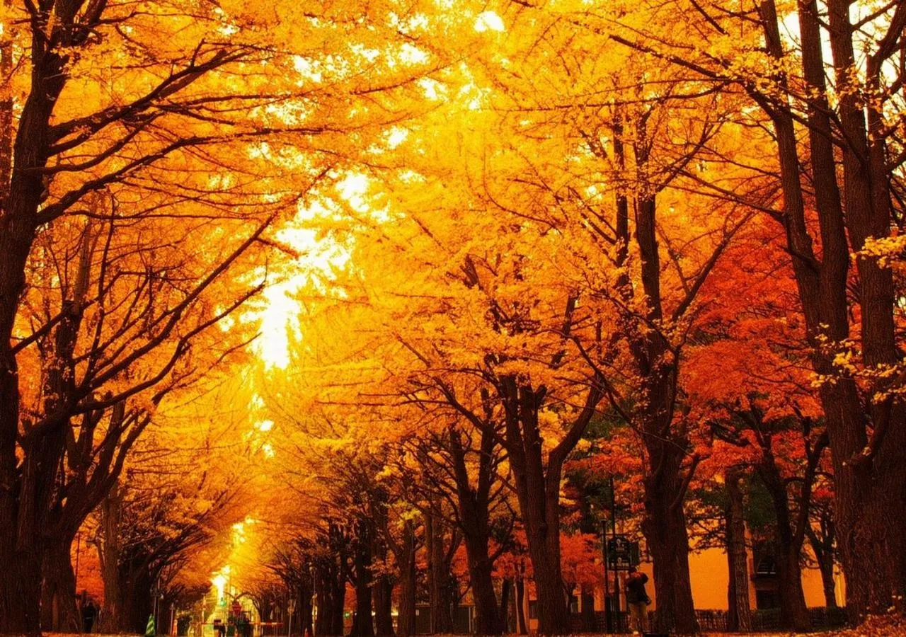 Nearby landmark in Tokyu Stay Sapporo