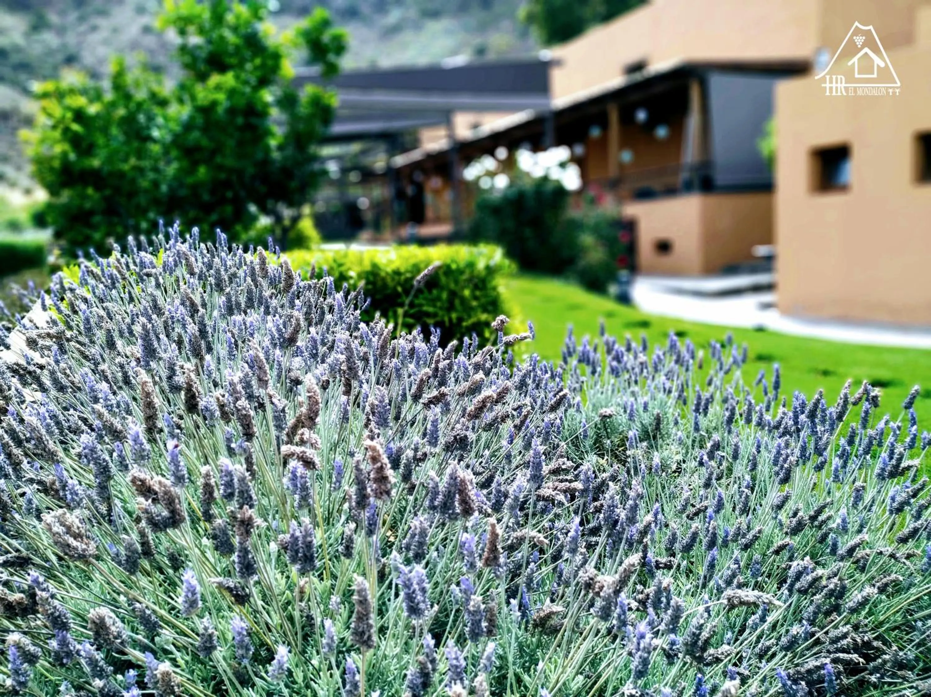 Off site in Hotel Rural El Mondalón