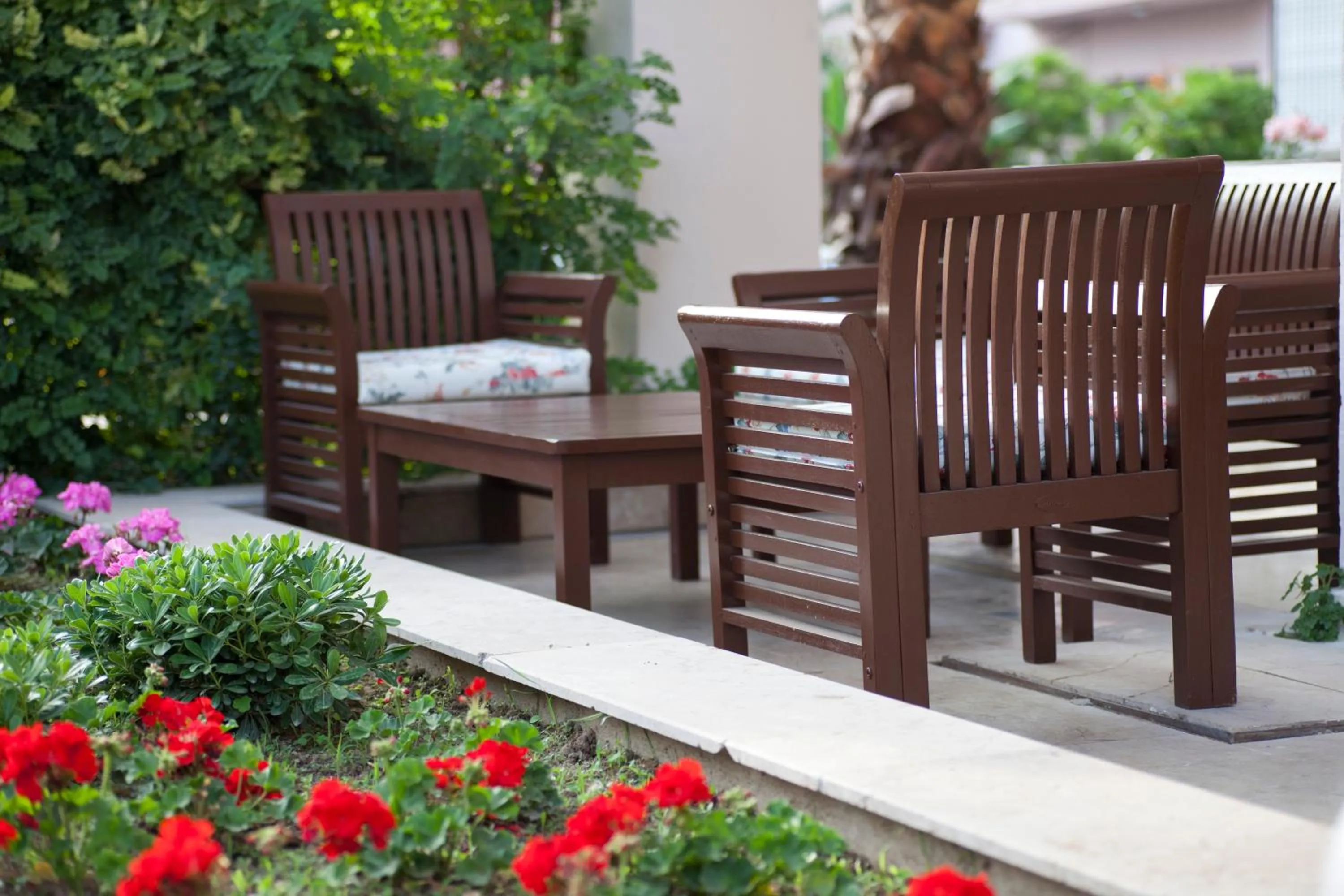 Other in Kleopatra Aytur Apart Hotel