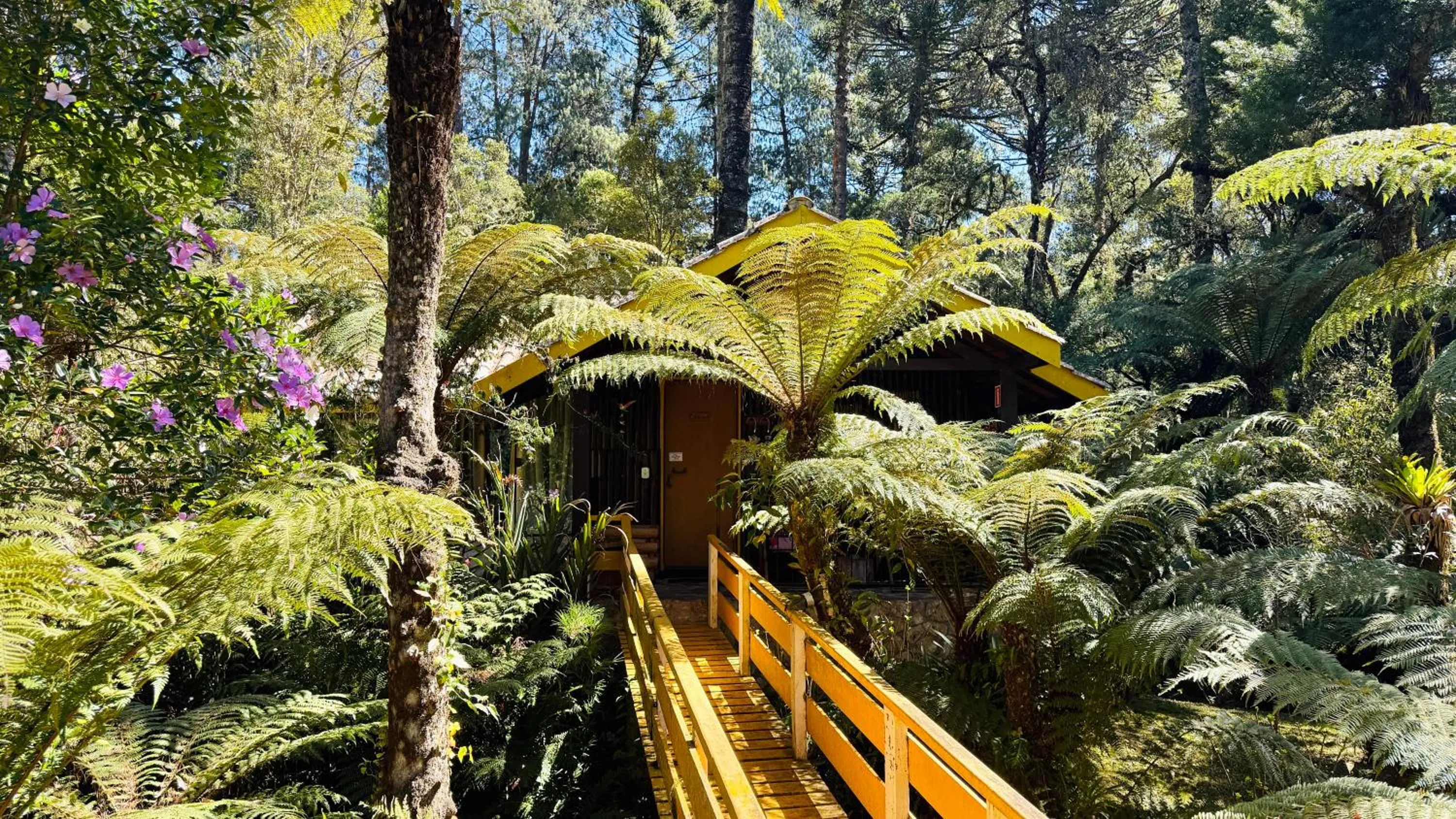 Garden view in Pousada Villa D'Amore