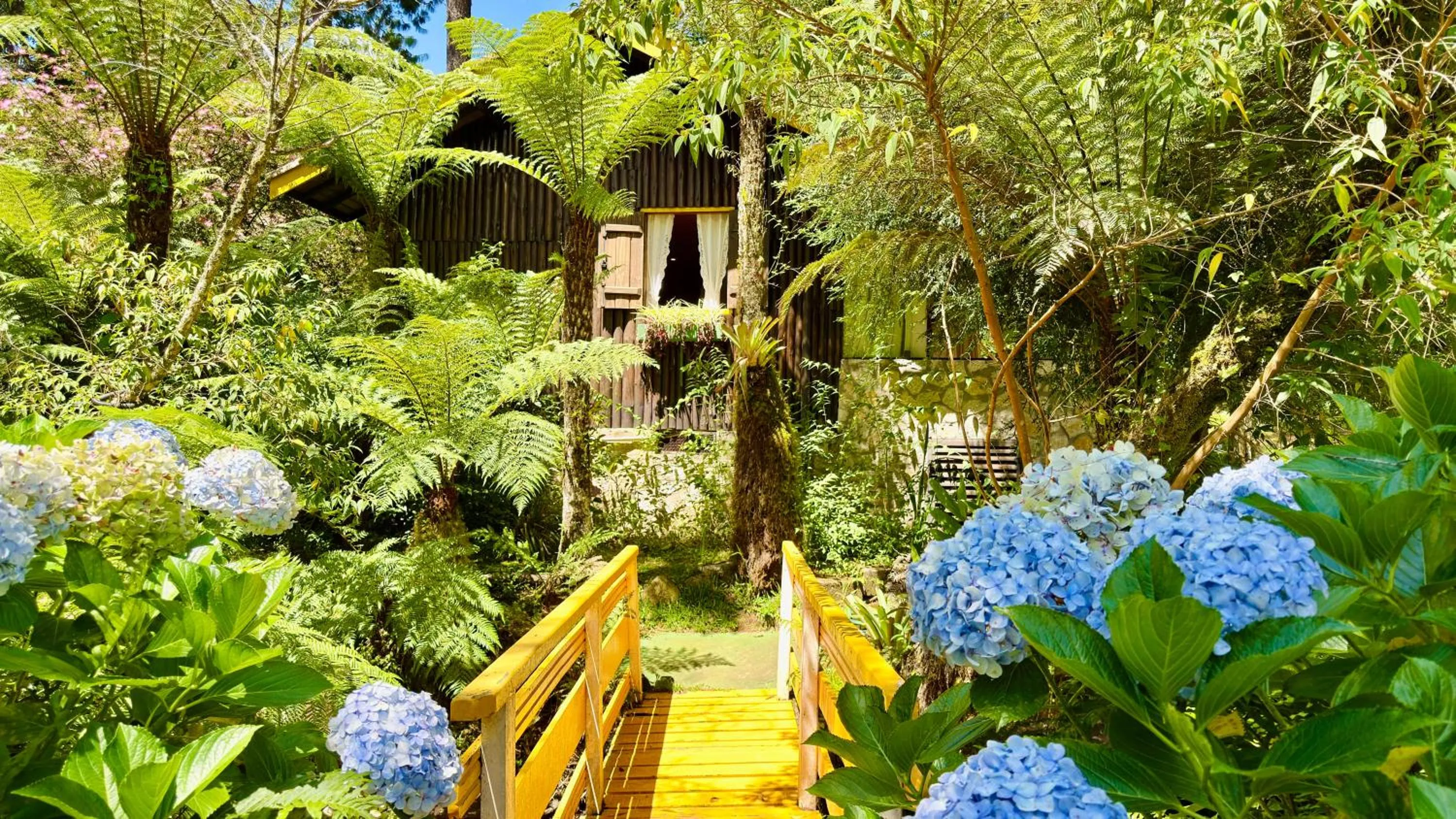 Garden view in Pousada Villa D'Amore