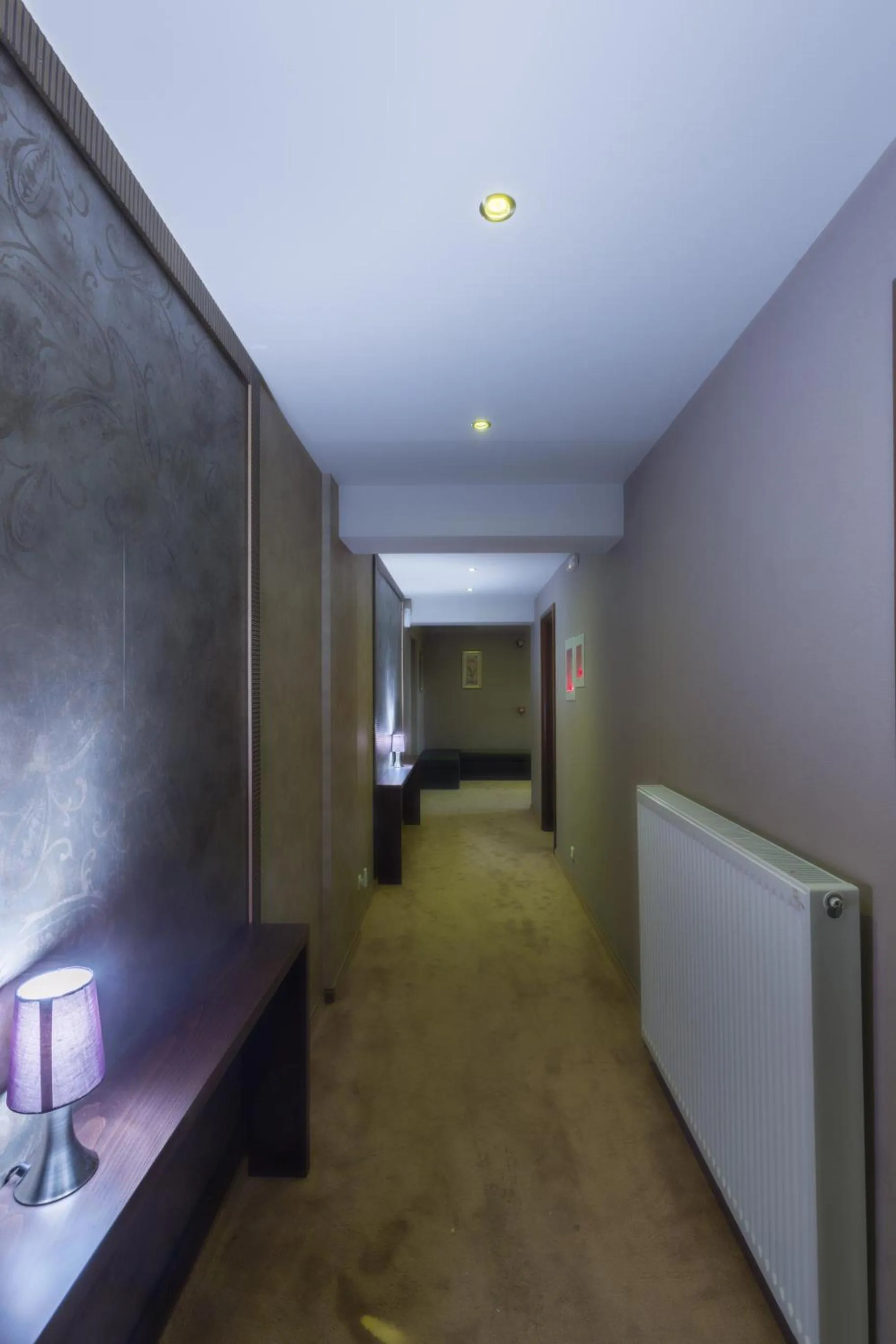 Area and facilities in Nevros Hotel Resort and Spa Limni Plastira