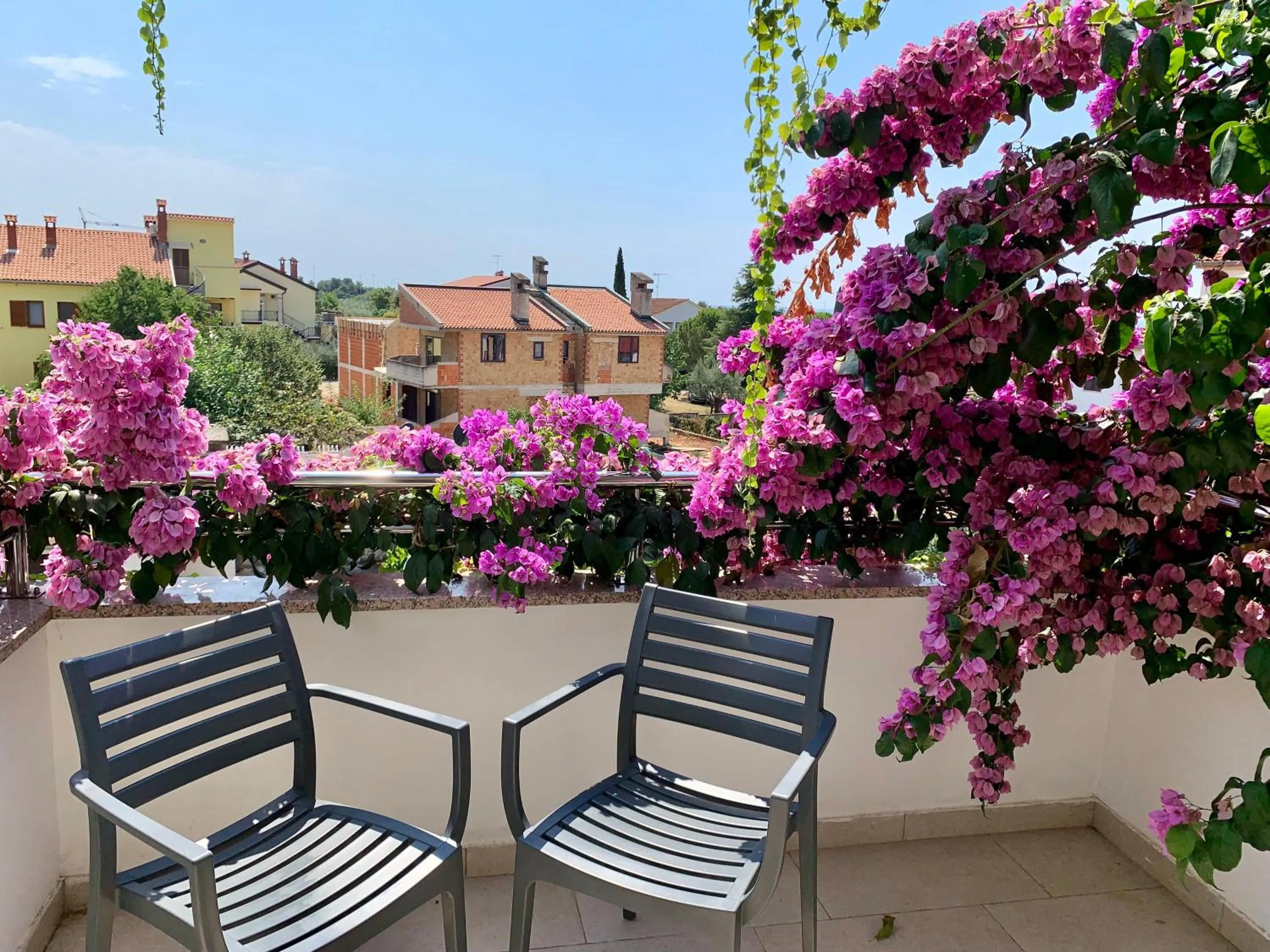 Day in Gargamelo Pension