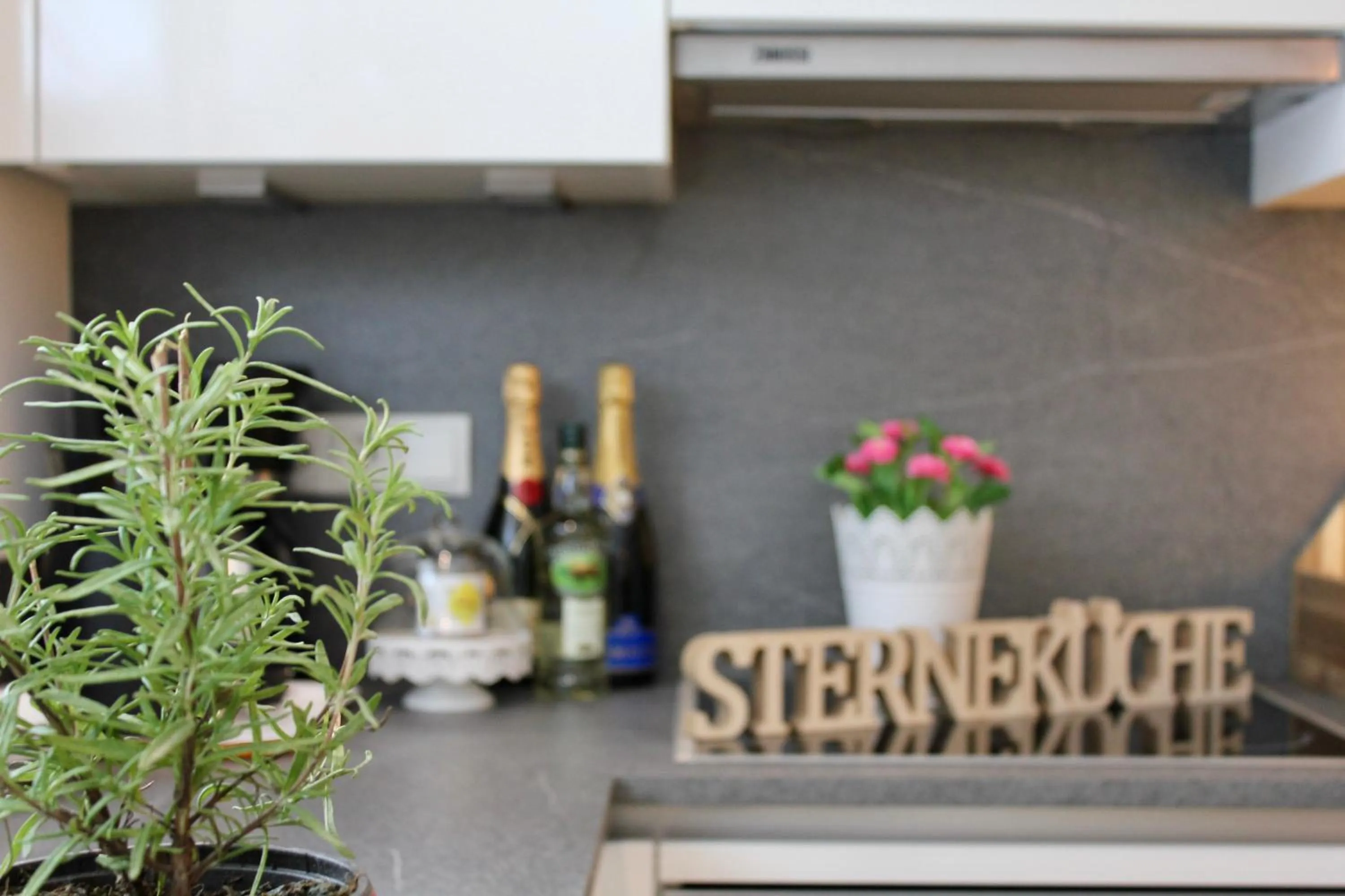 Kitchen or kitchenette in Seelos - Alpine Easy Stay - Bed & Breakfast