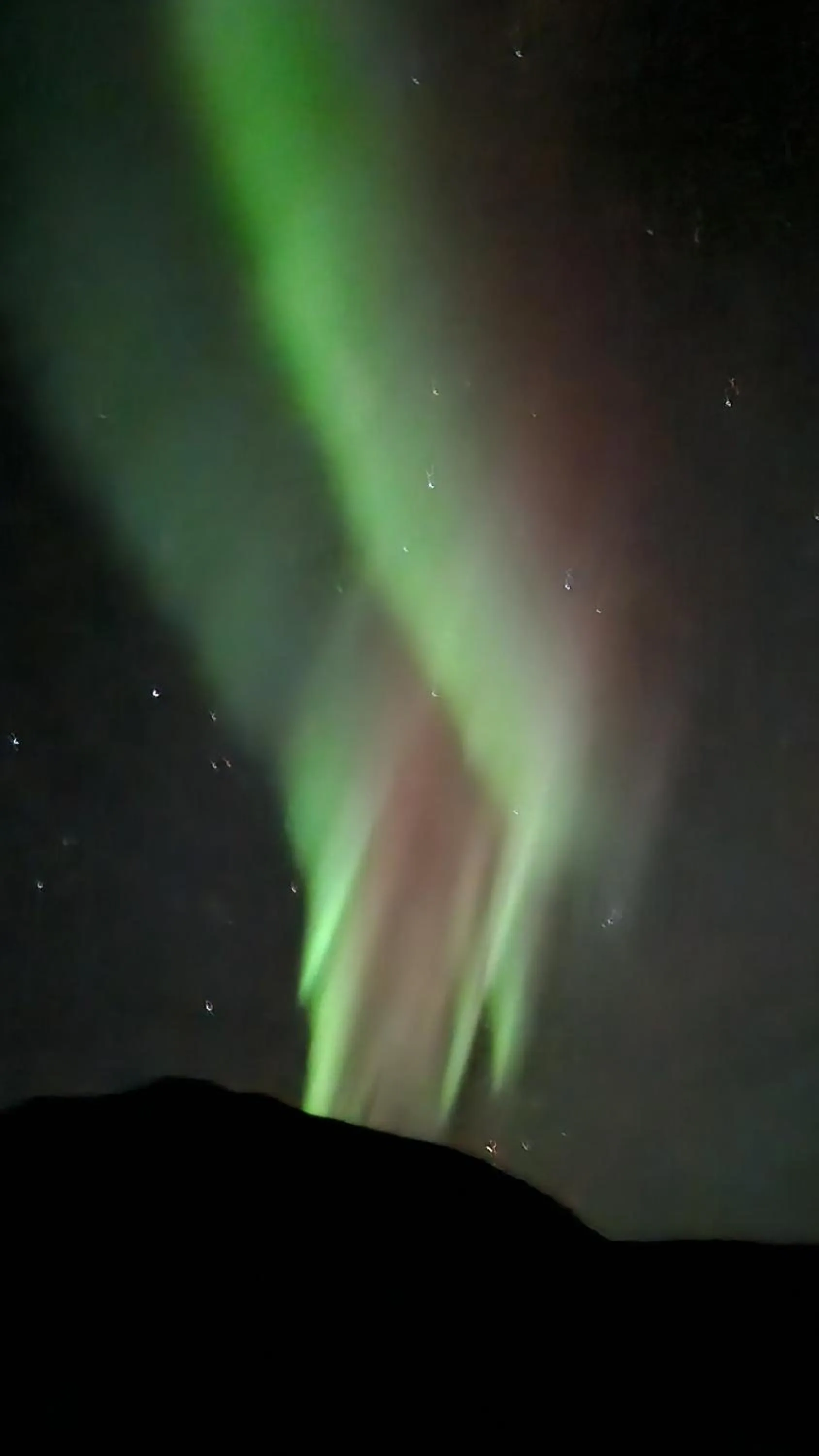 Night in Dis Cottages