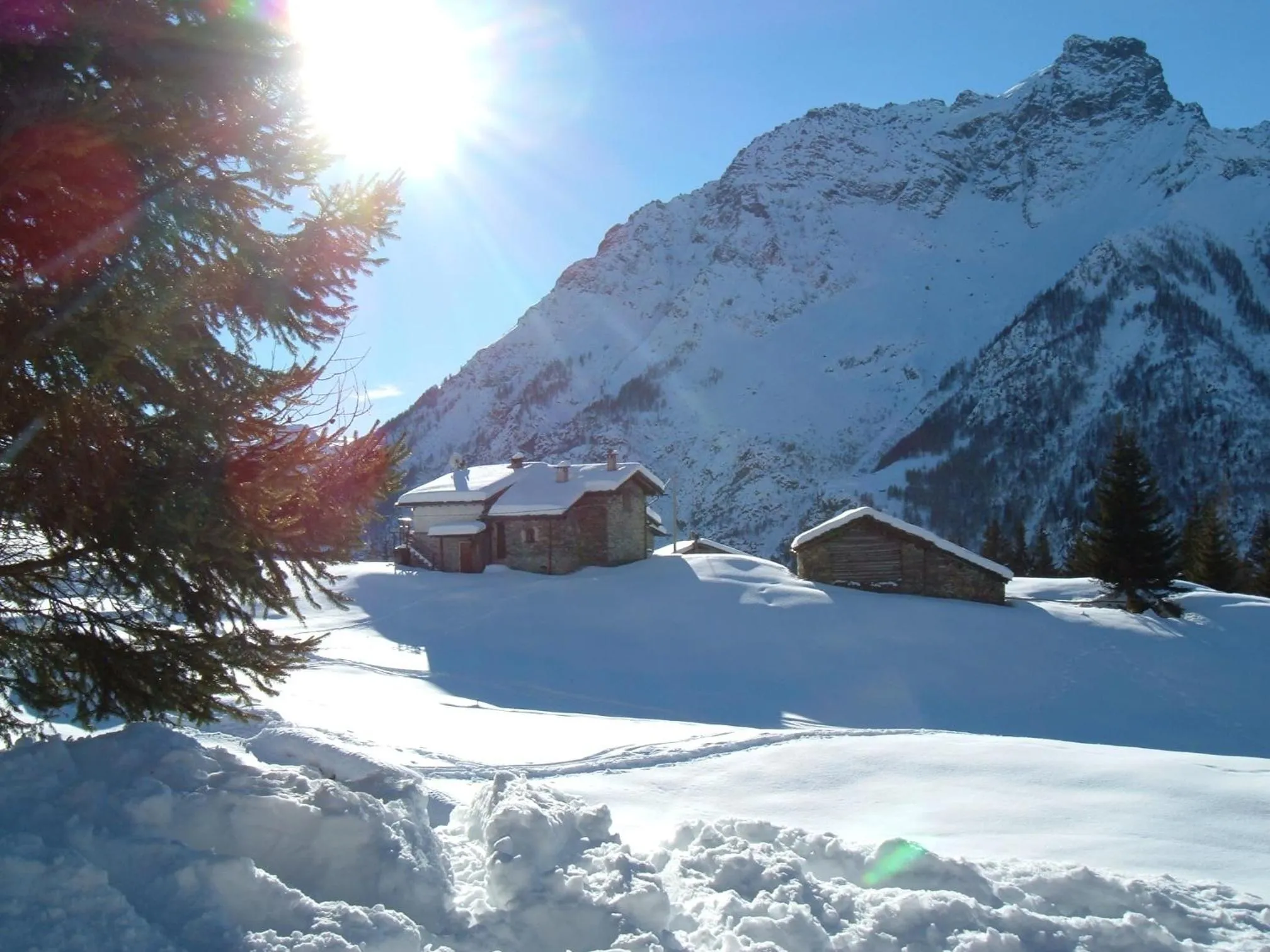Area and facilities in Hotel Miramonti