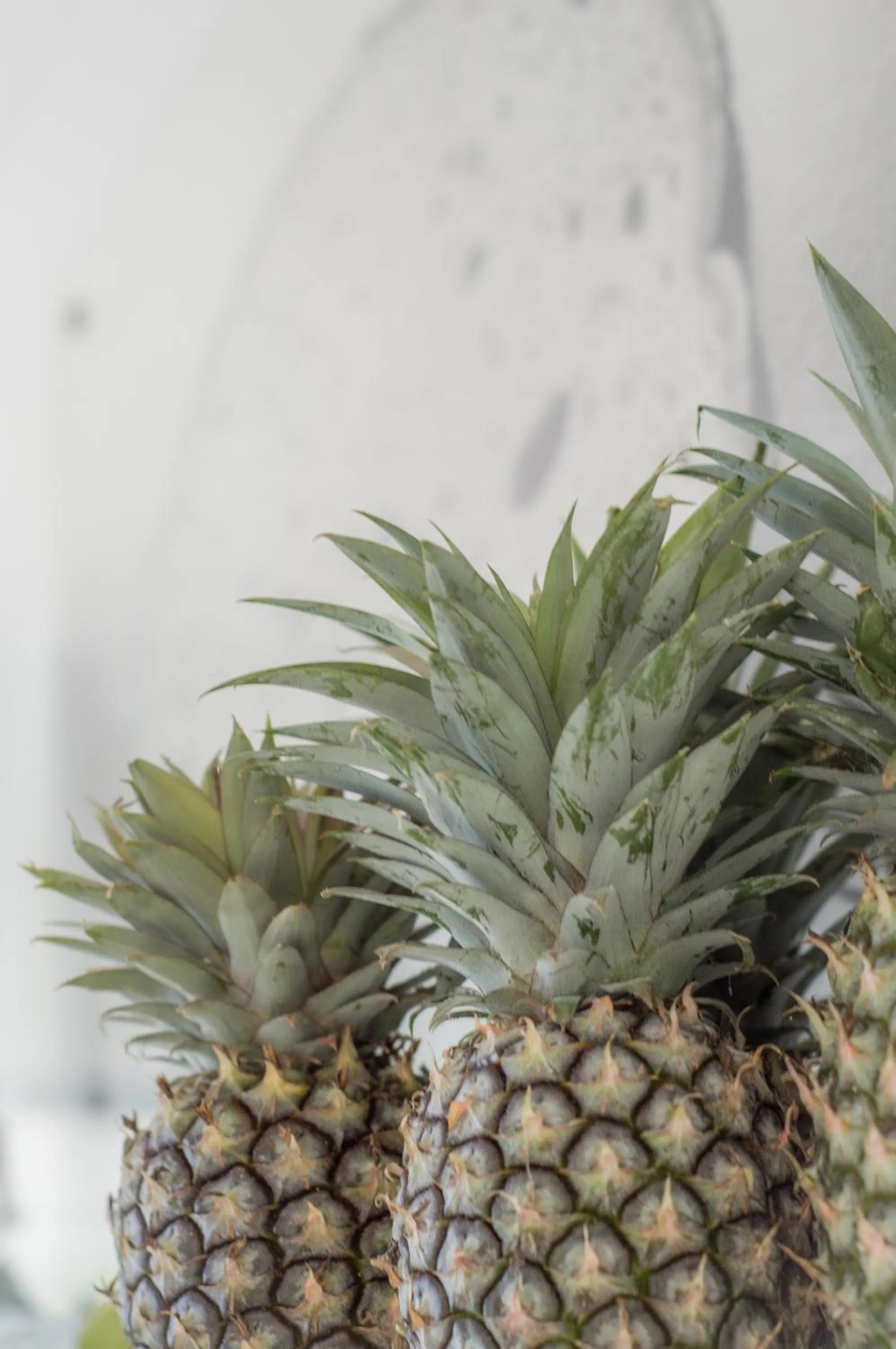 Food in Byron Springs