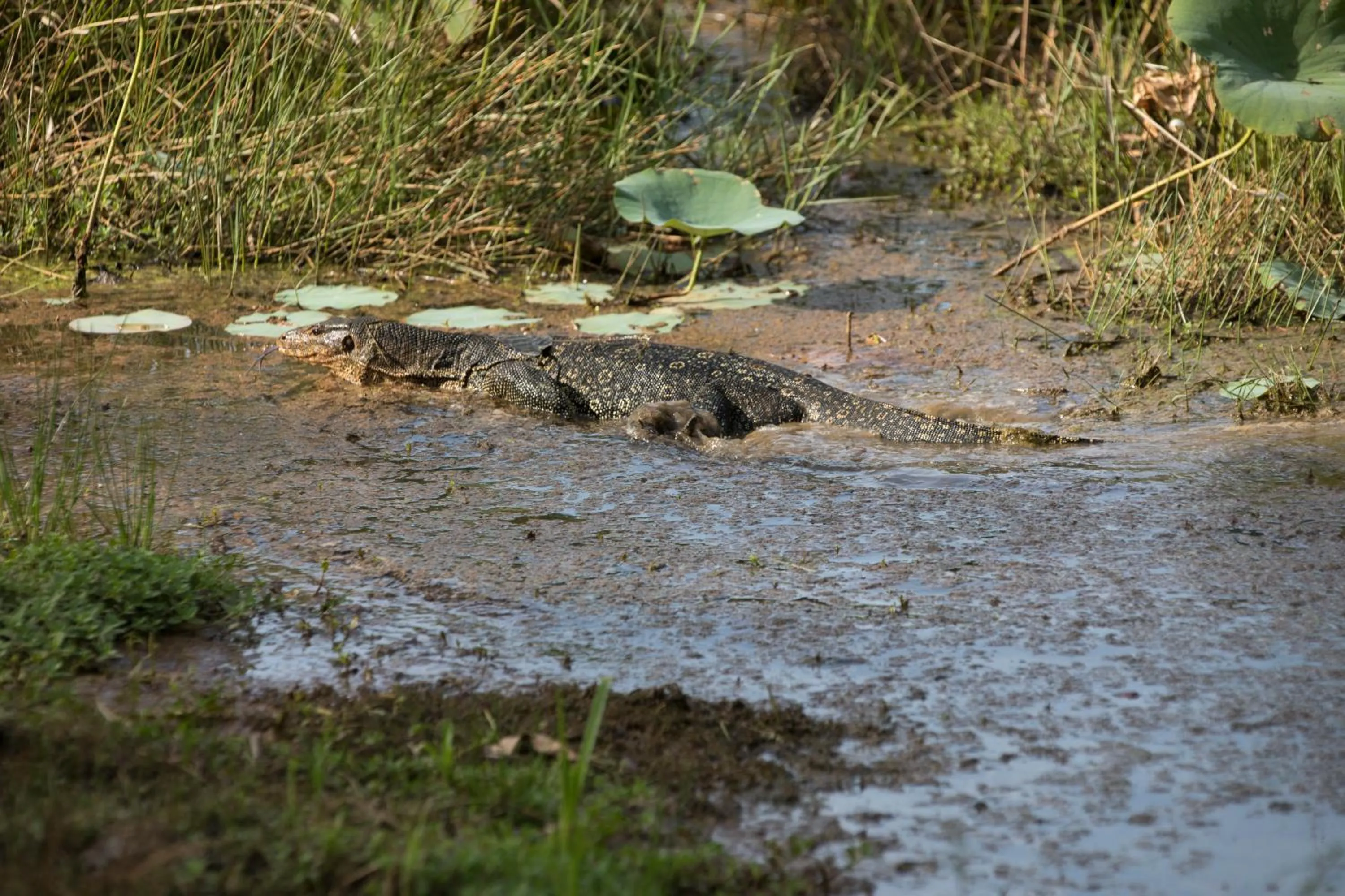 Other in Perhentian Island Resort