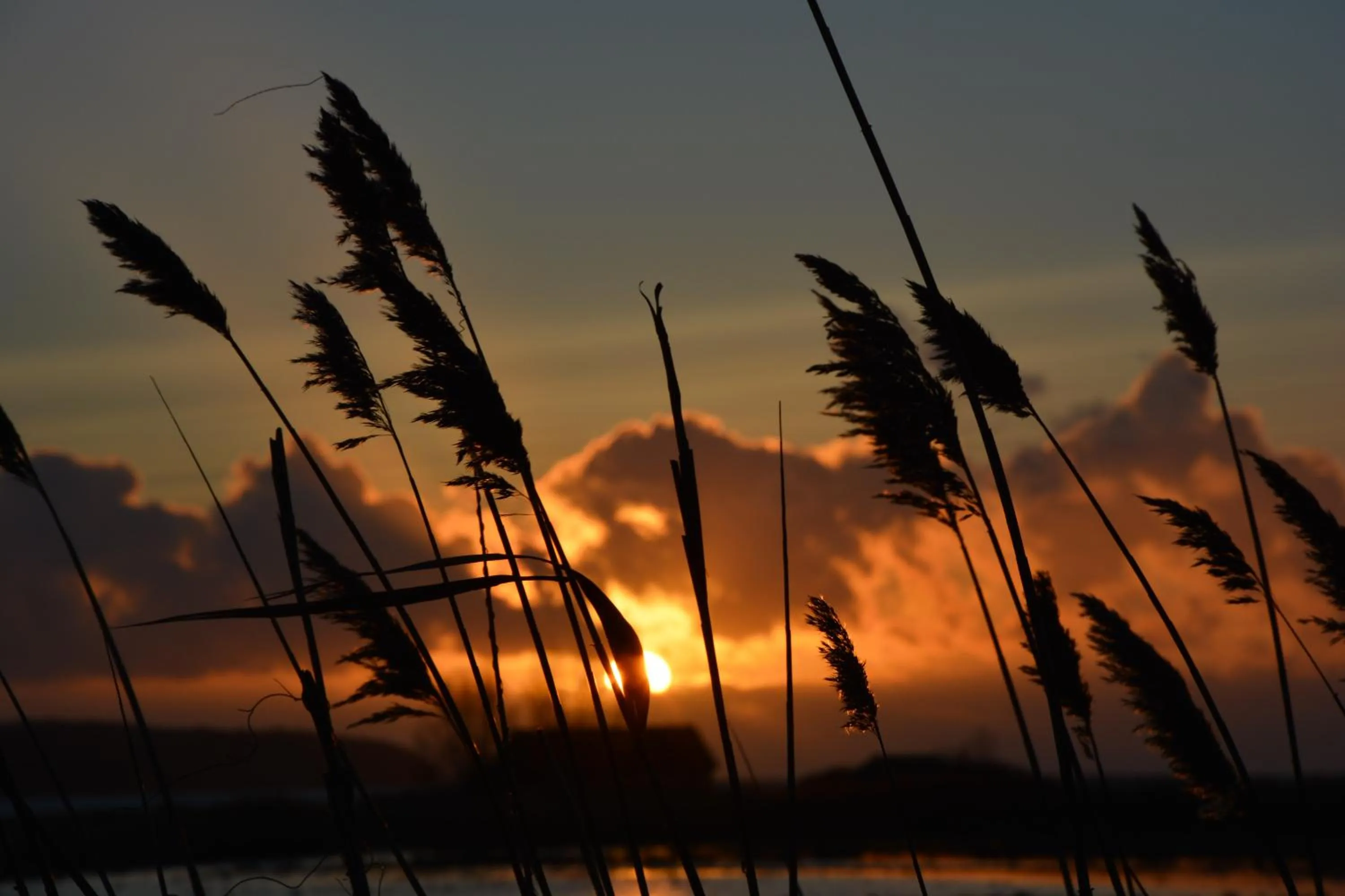 Sunset in Reethäuser auf Rügen
