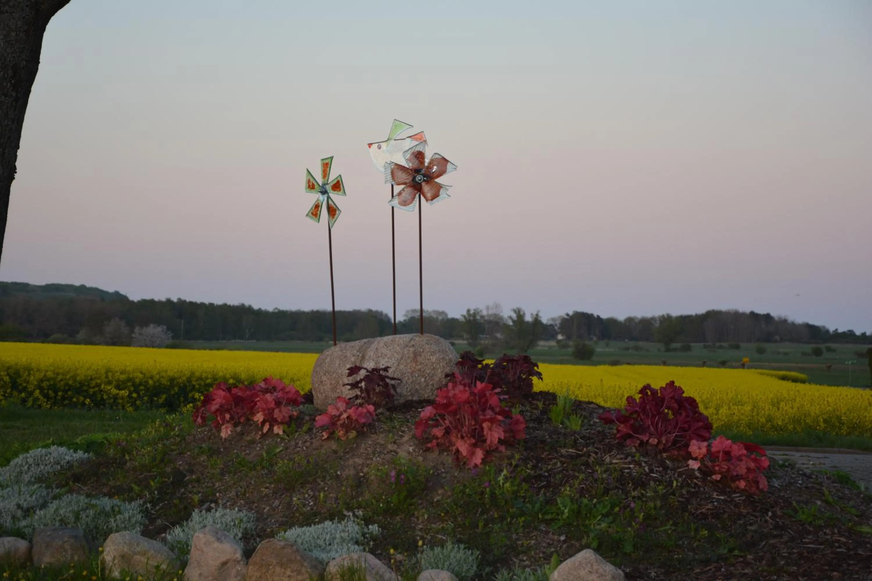 Natural landscape in Reethäuser auf Rügen
