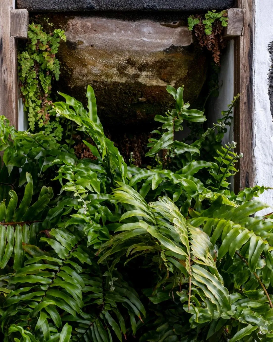 Hotel Boutique Palacio Ico - Only Adults