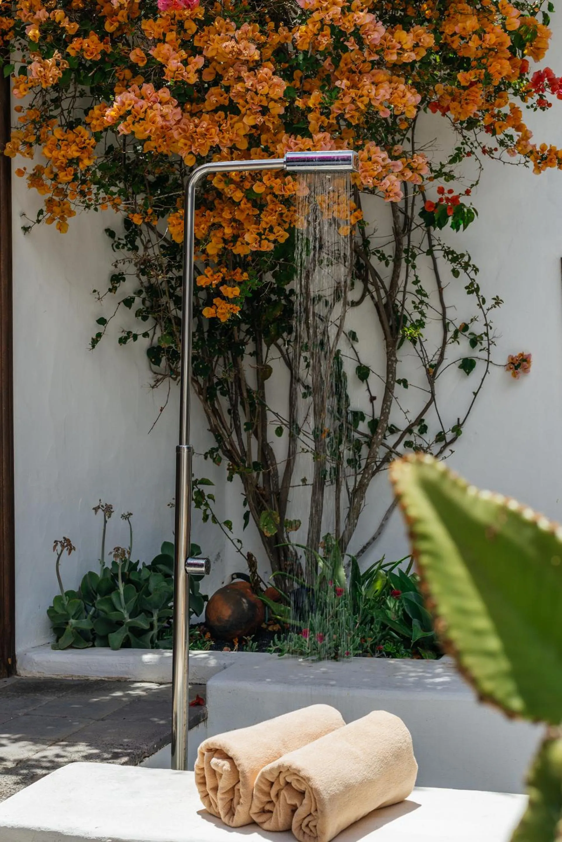 Garden in Hotel Boutique Palacio Ico - Only Adults