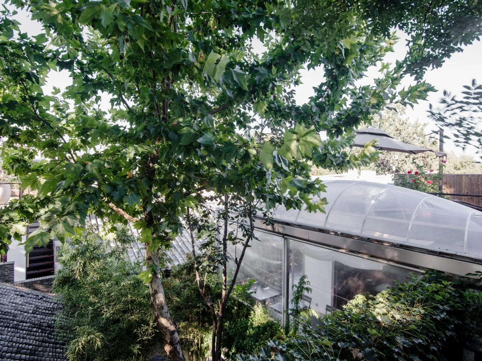 Restaurant/places to eat in The Orchid Hotel - Old Town & Drum Tower