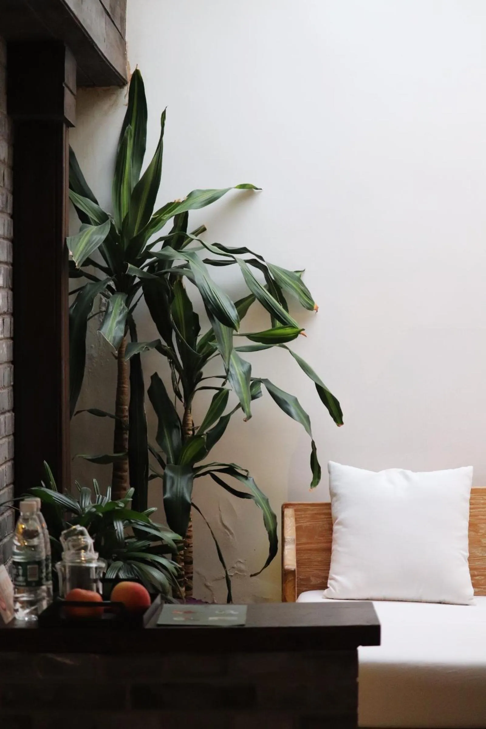 The Orchid Hotel - Old Town & Drum Tower