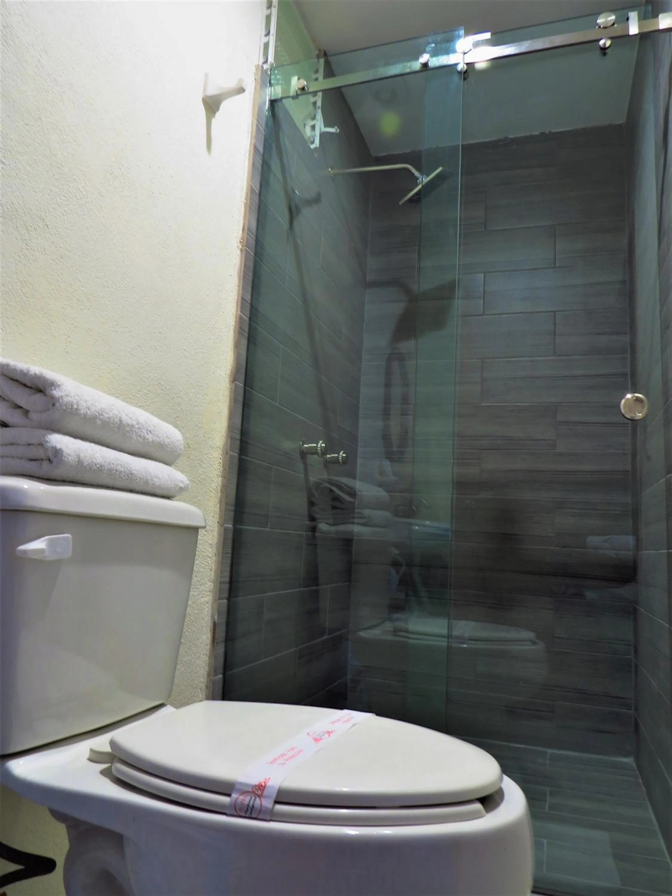 Shower in Hotel Purisima Concepción