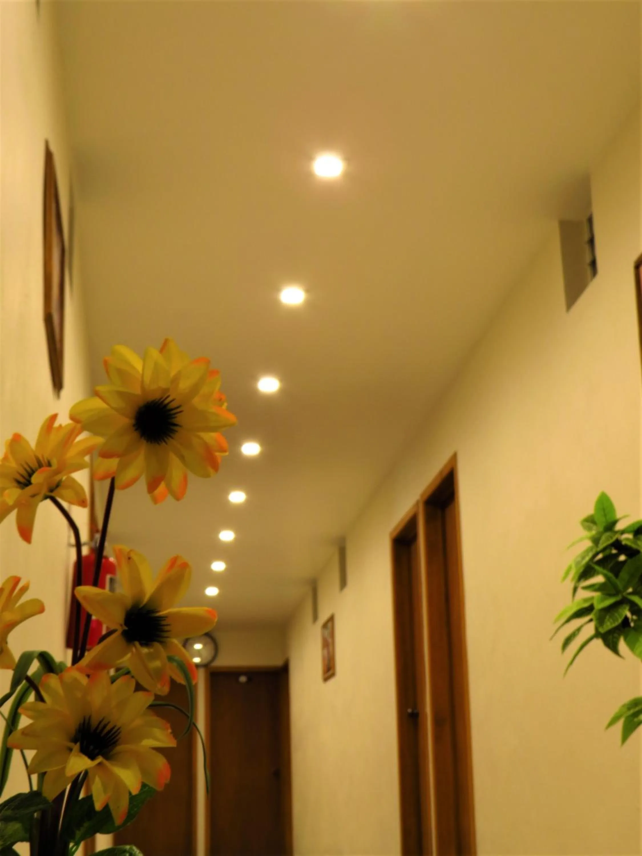 Area and facilities in Hotel Purisima Concepción