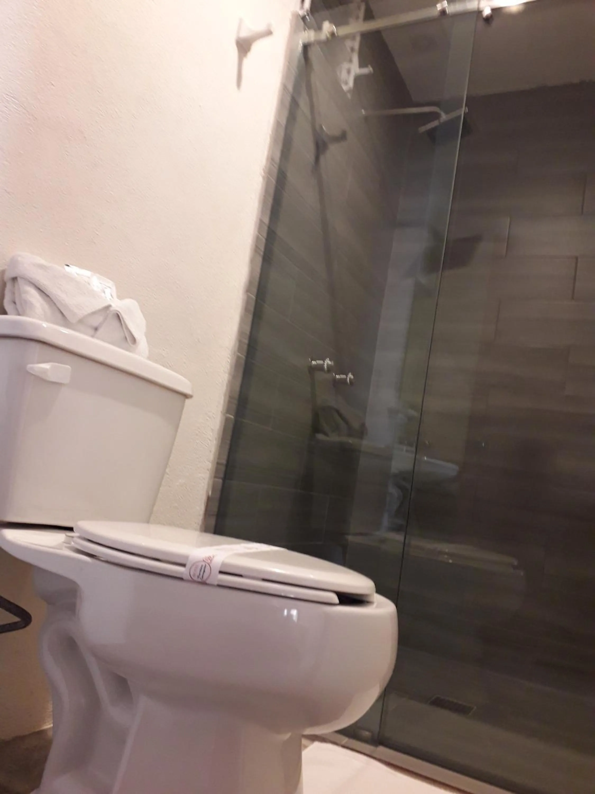 Hotel Purisima Concepción