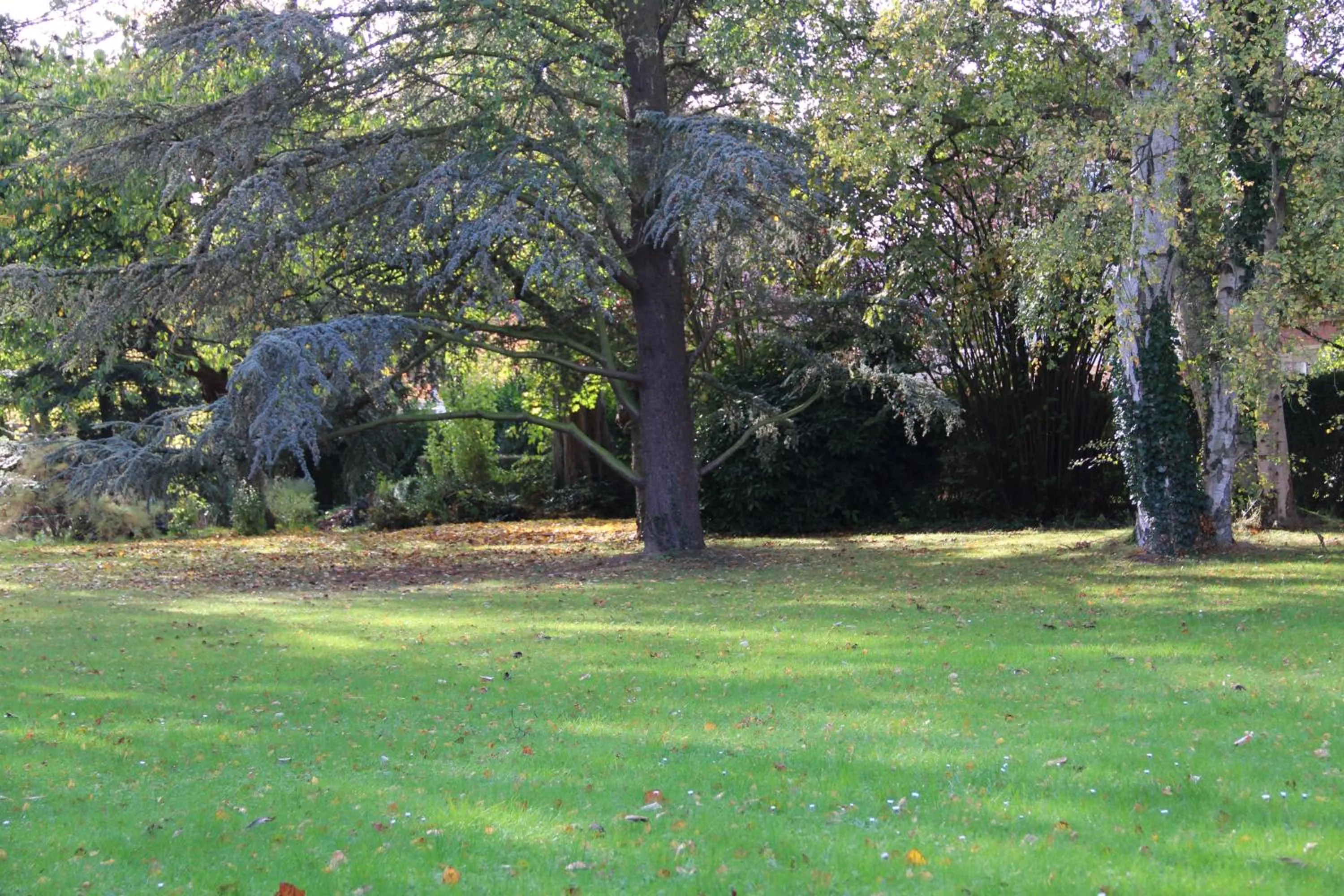 Garden in La belle Monsoise