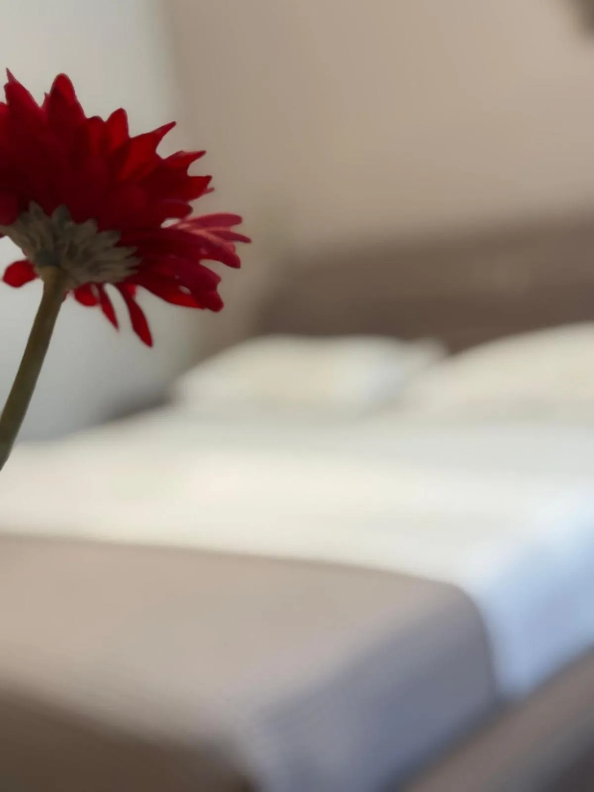 Bed in Park Hotel Tirana