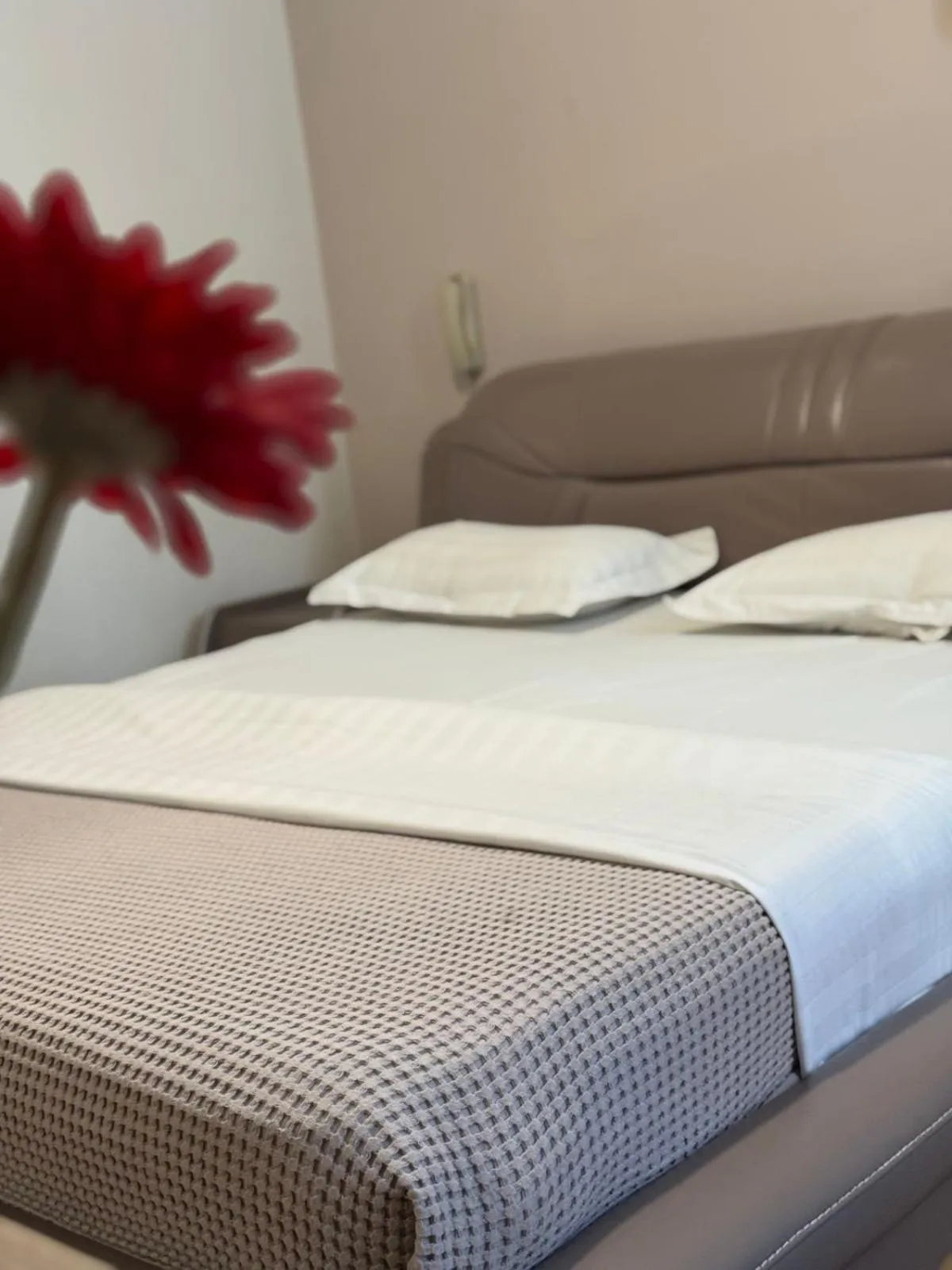 Bed in Park Hotel Tirana