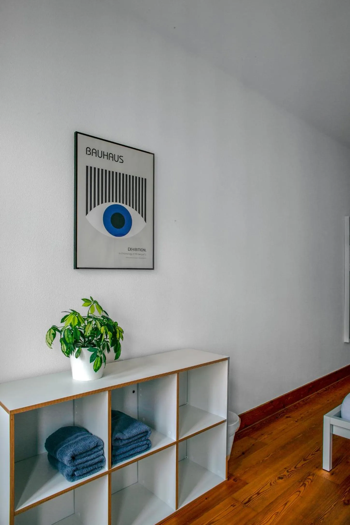 Photo of the whole room in Hostel Multitude