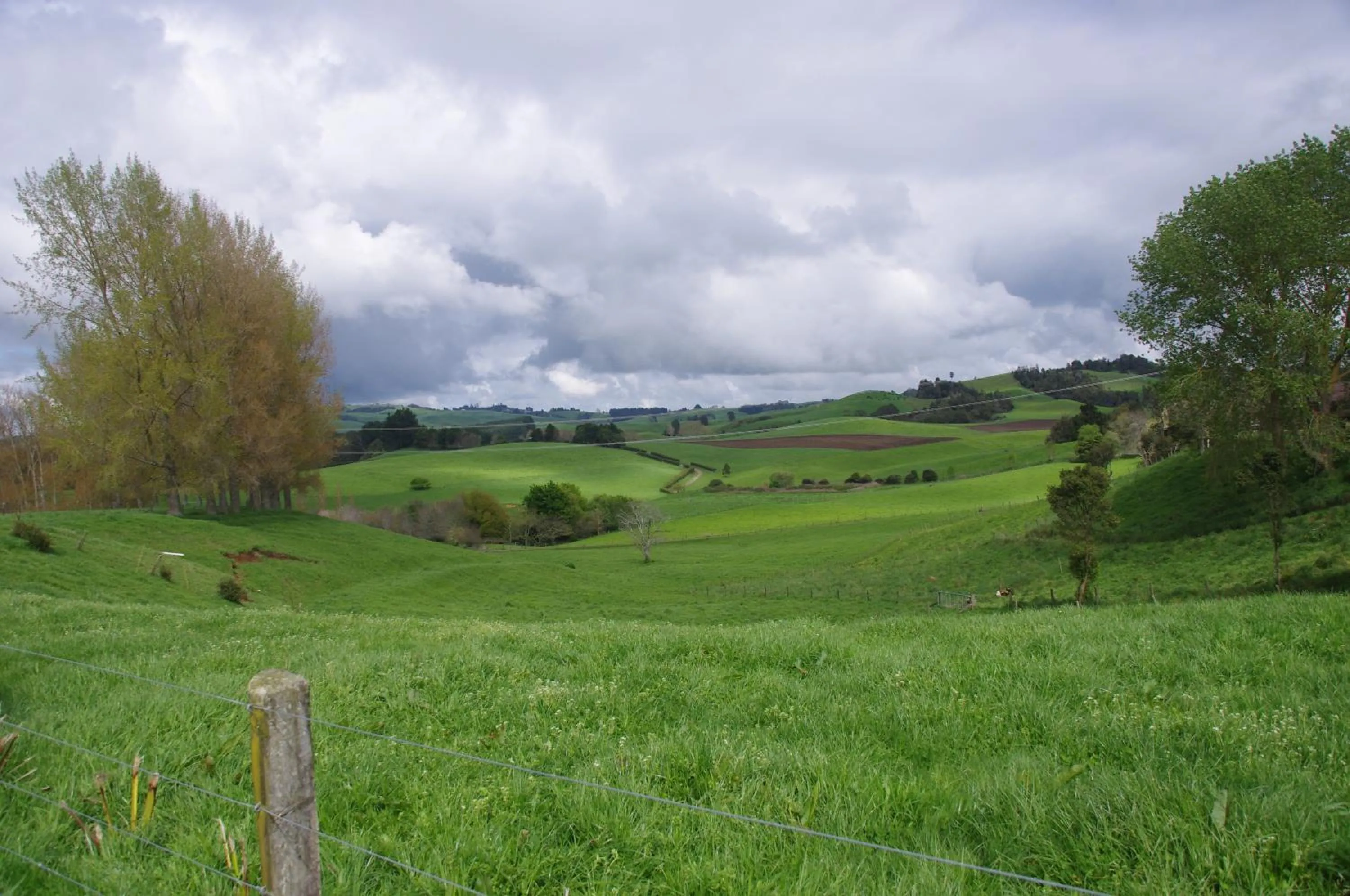Property building in Serenity on Brunskill
