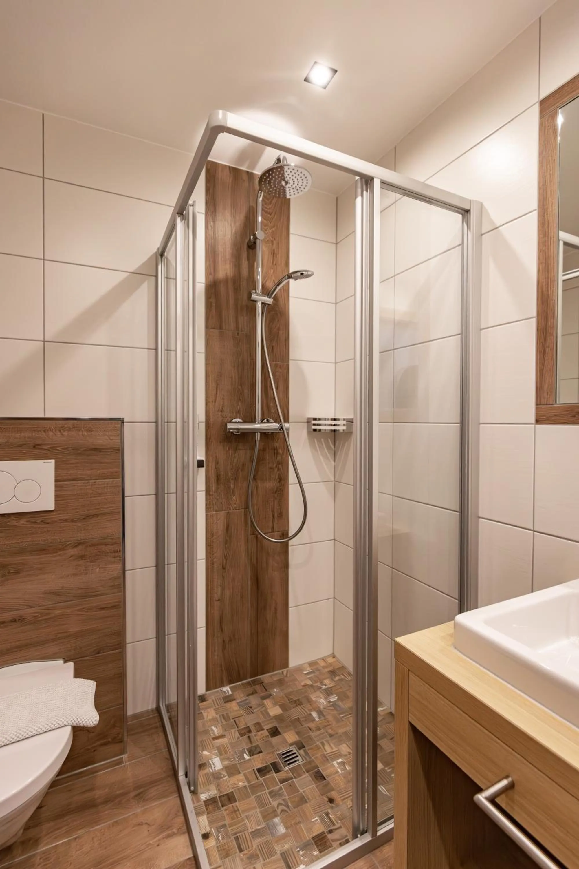 Shower in Das Aparthotel Olympia Tirol