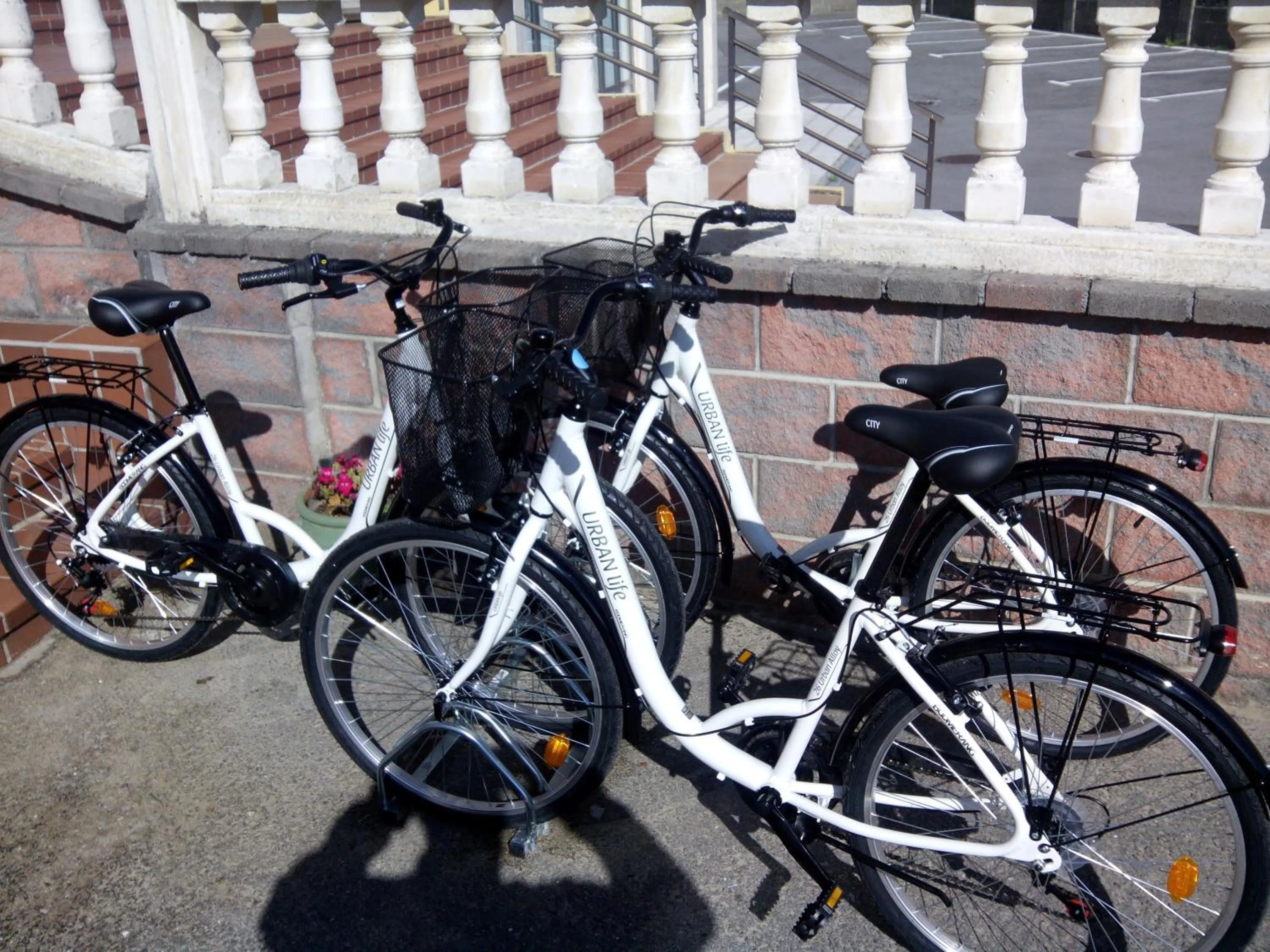 Day in Hotel Los Juncos