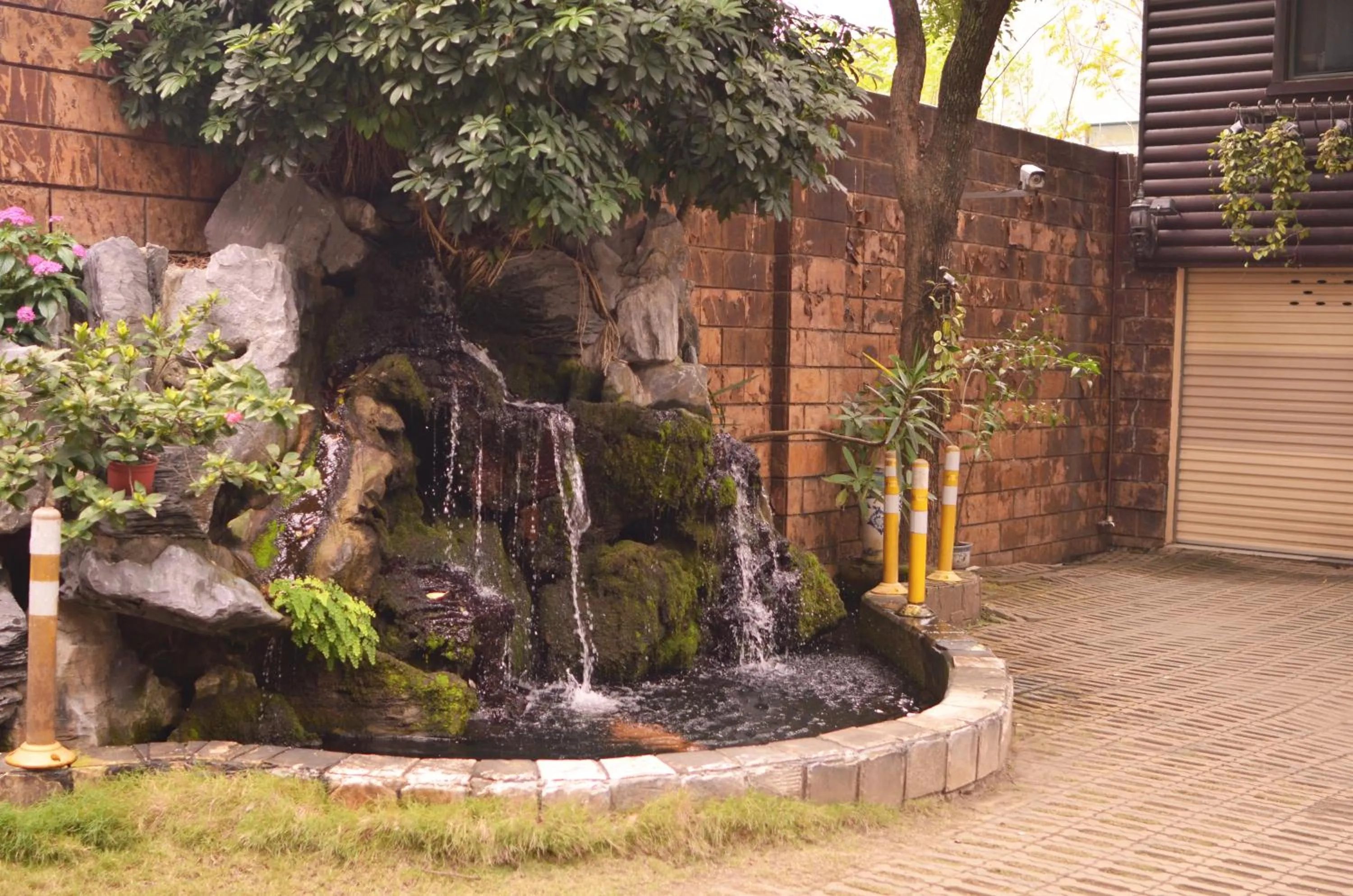 Garden view in Ivy Motel