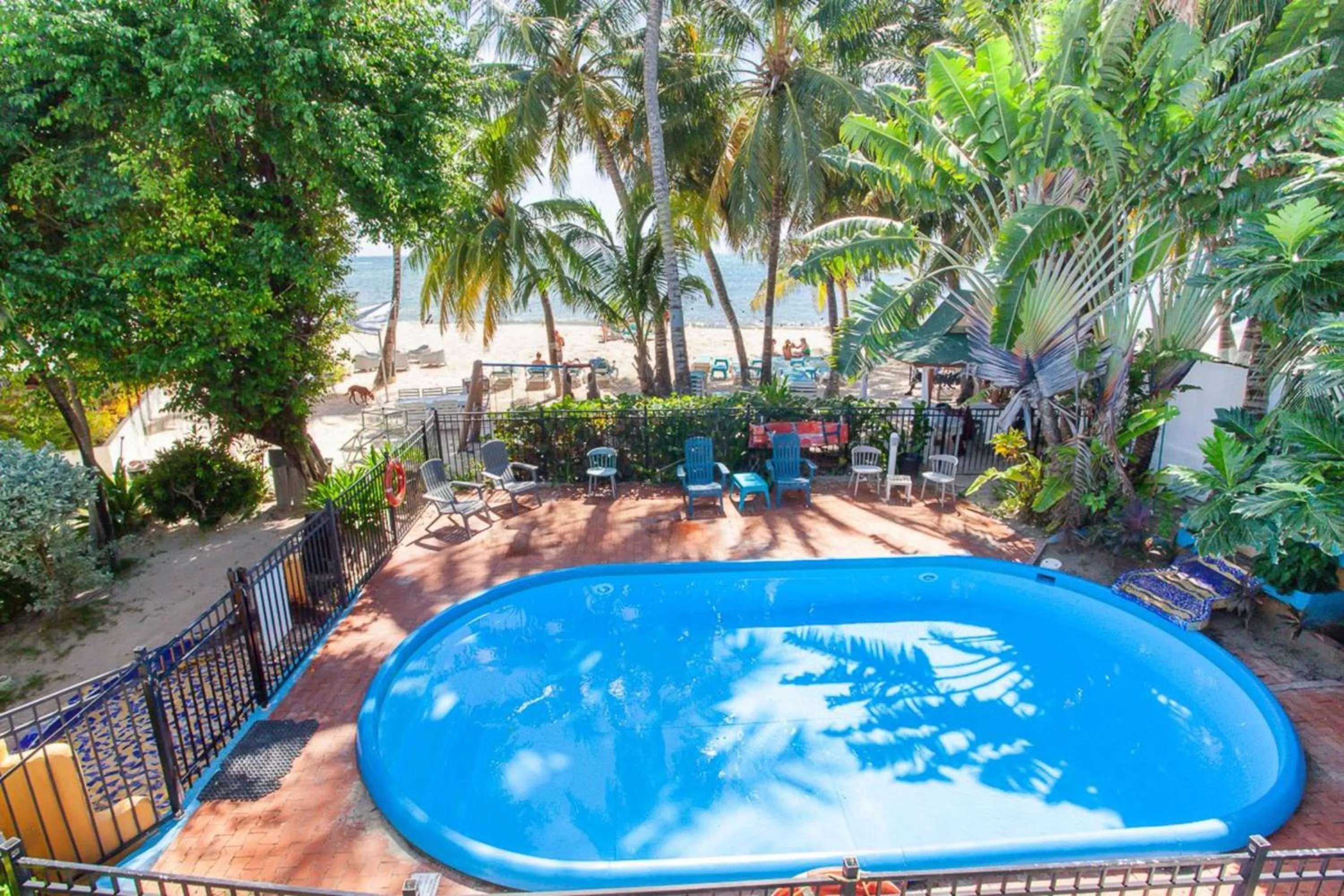 Swimming pool in Hotel Cocoplum Beach