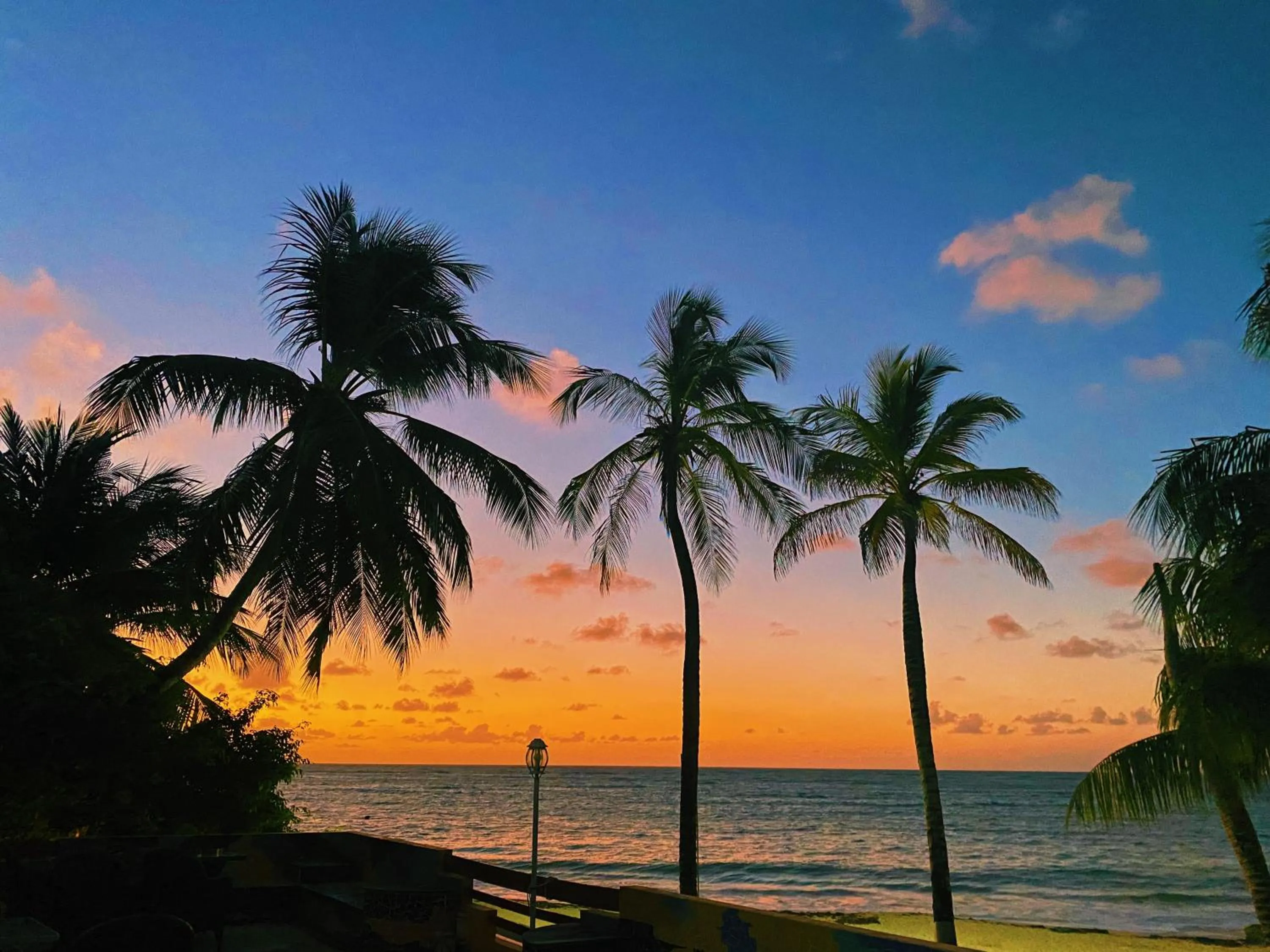 Beach in Hotel Cocoplum Beach