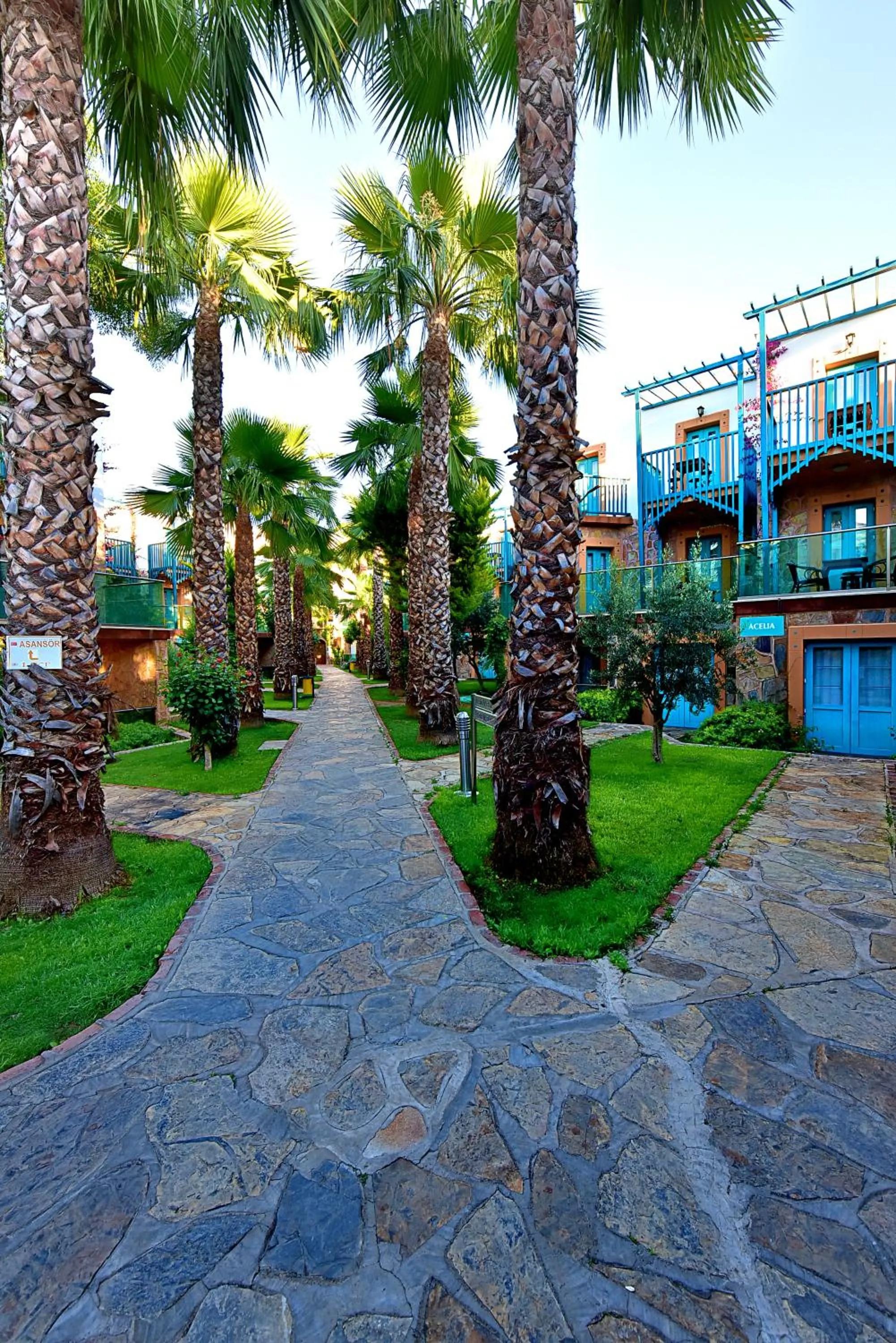 Day in Jasmin Beach Hotel