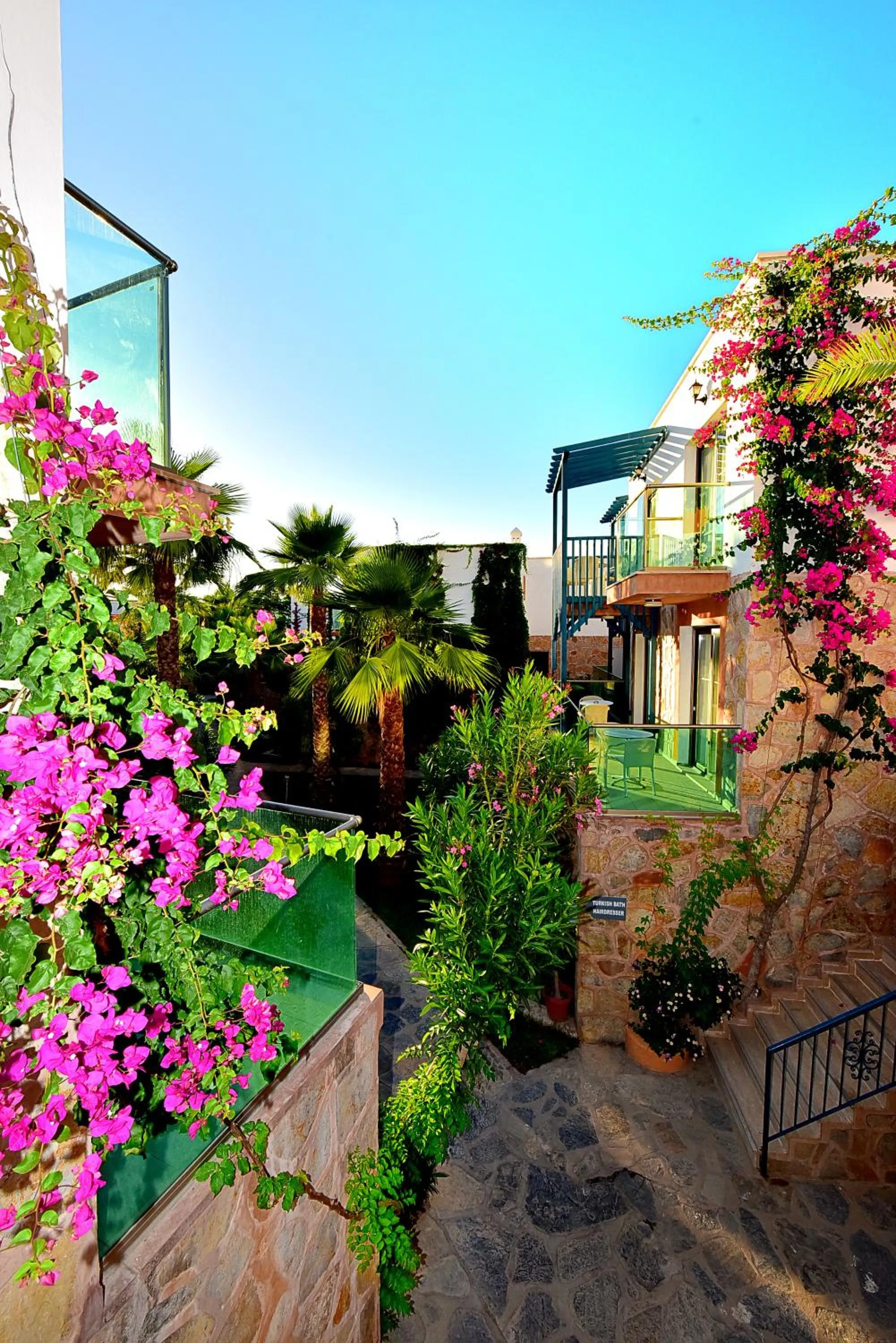 Garden in Jasmin Beach Hotel